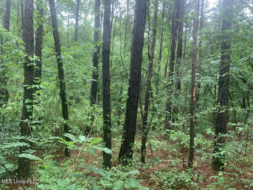 1063 Dry Creek Road Property Photo 14