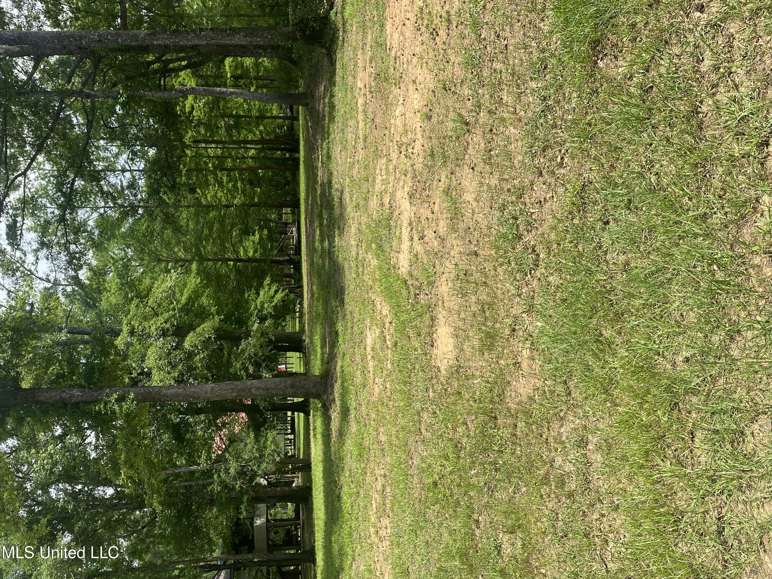 Holly Lane Property Photo 1