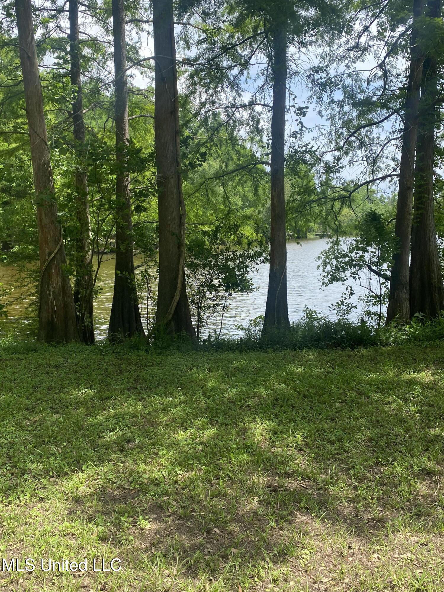 Holly Lane Property Photo 2
