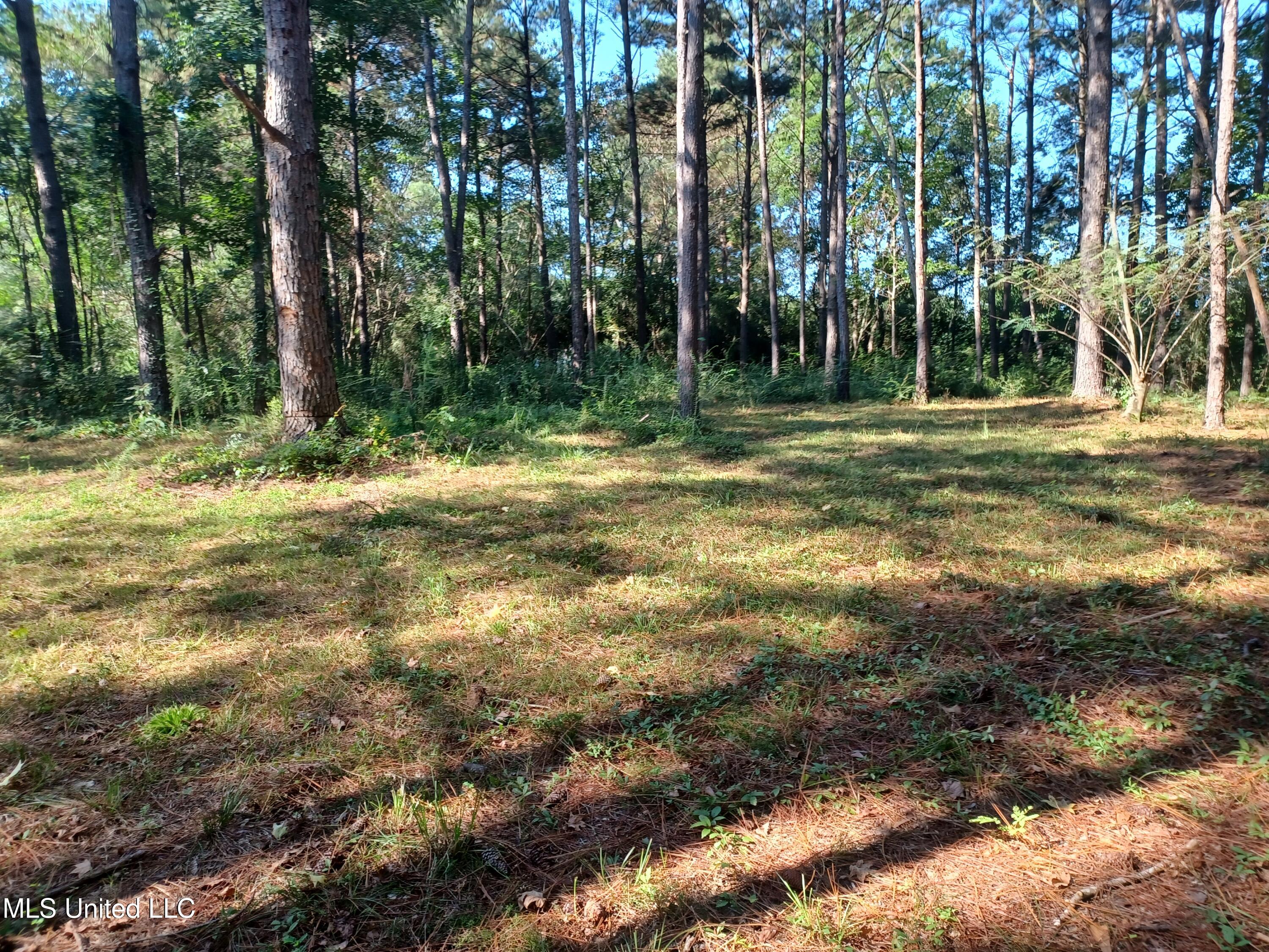 Nhn Cheryl Lane Property Photo 6