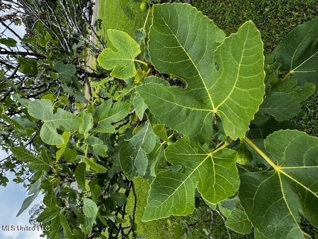 3099 Longfellow Drive Property Photo 31