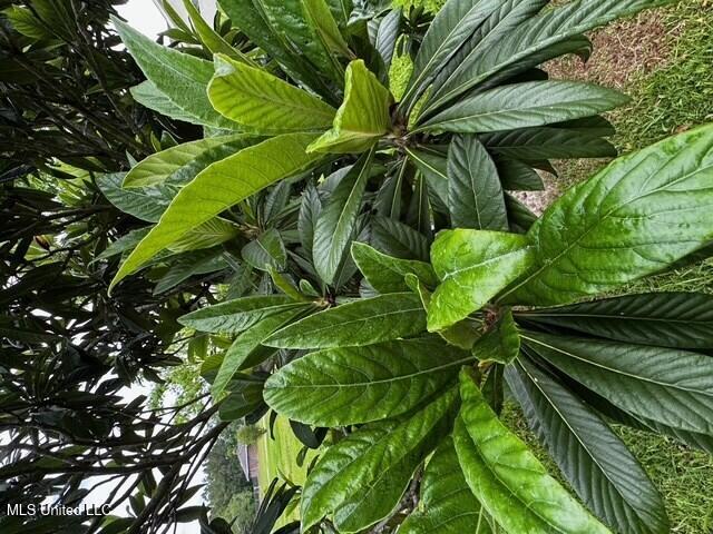 3099 Longfellow Drive Property Photo 33