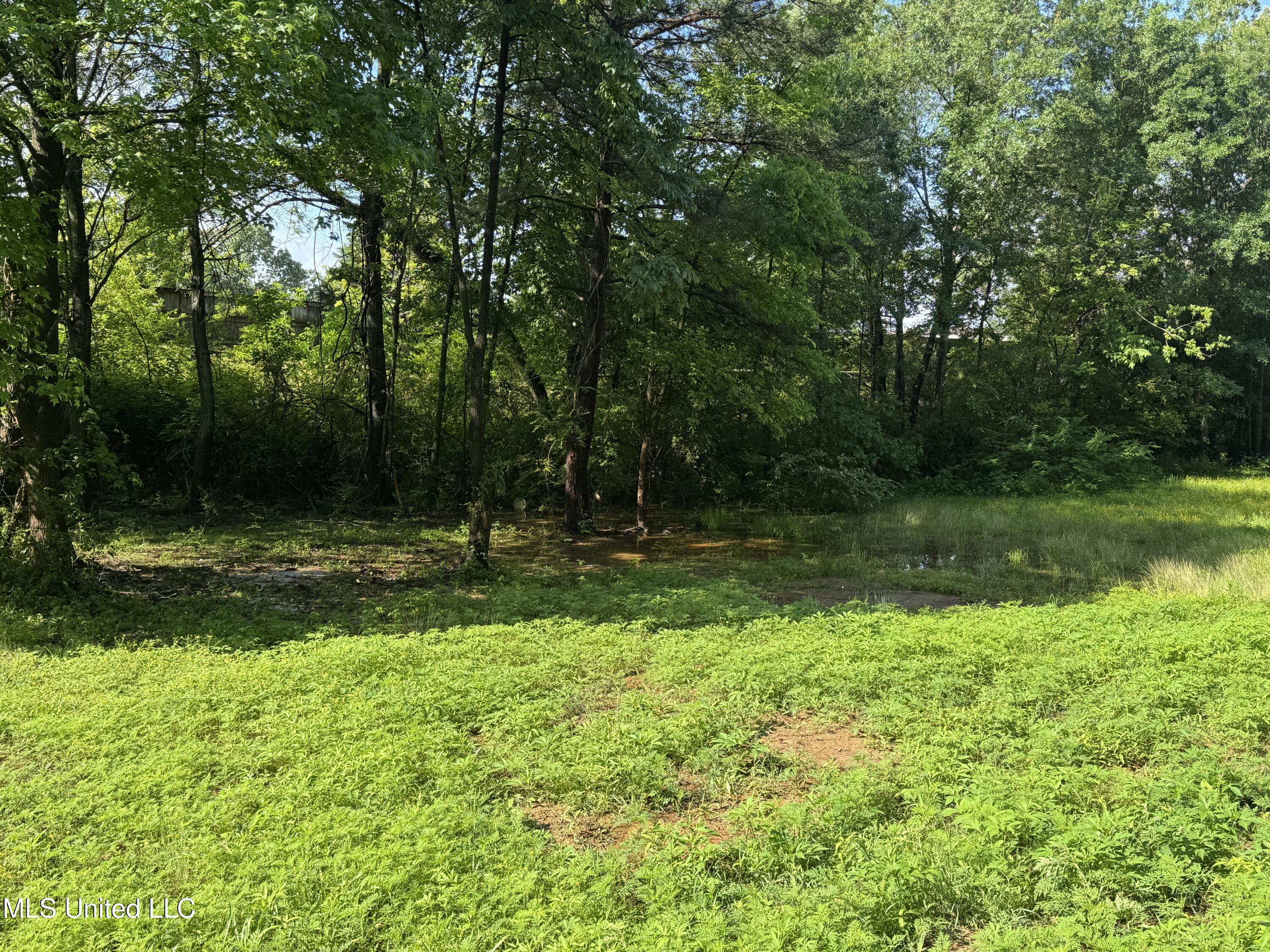 7231 N Hamilton Circle Circle Property Photo 8