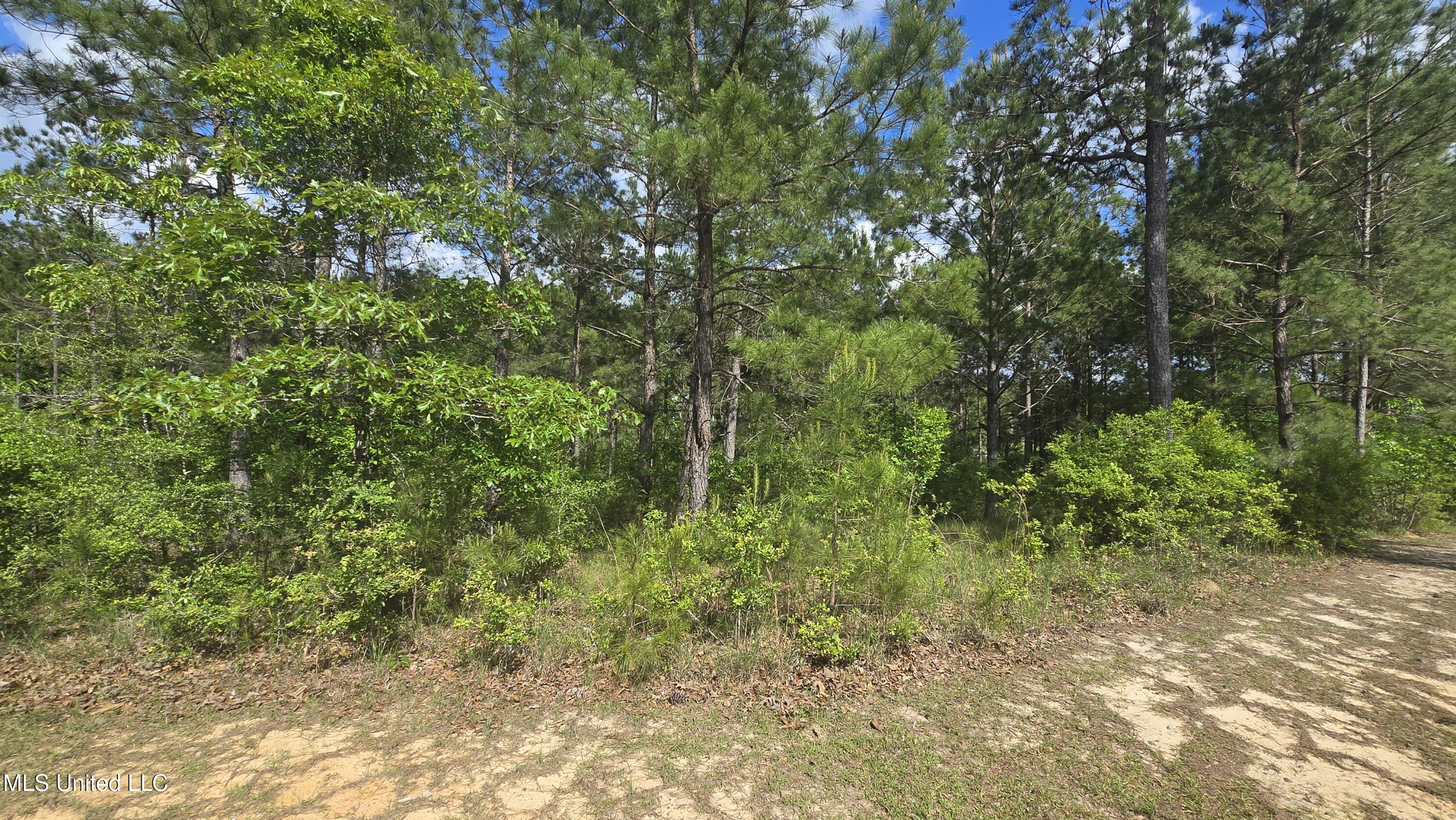 Mellie Lane Property Photo 1