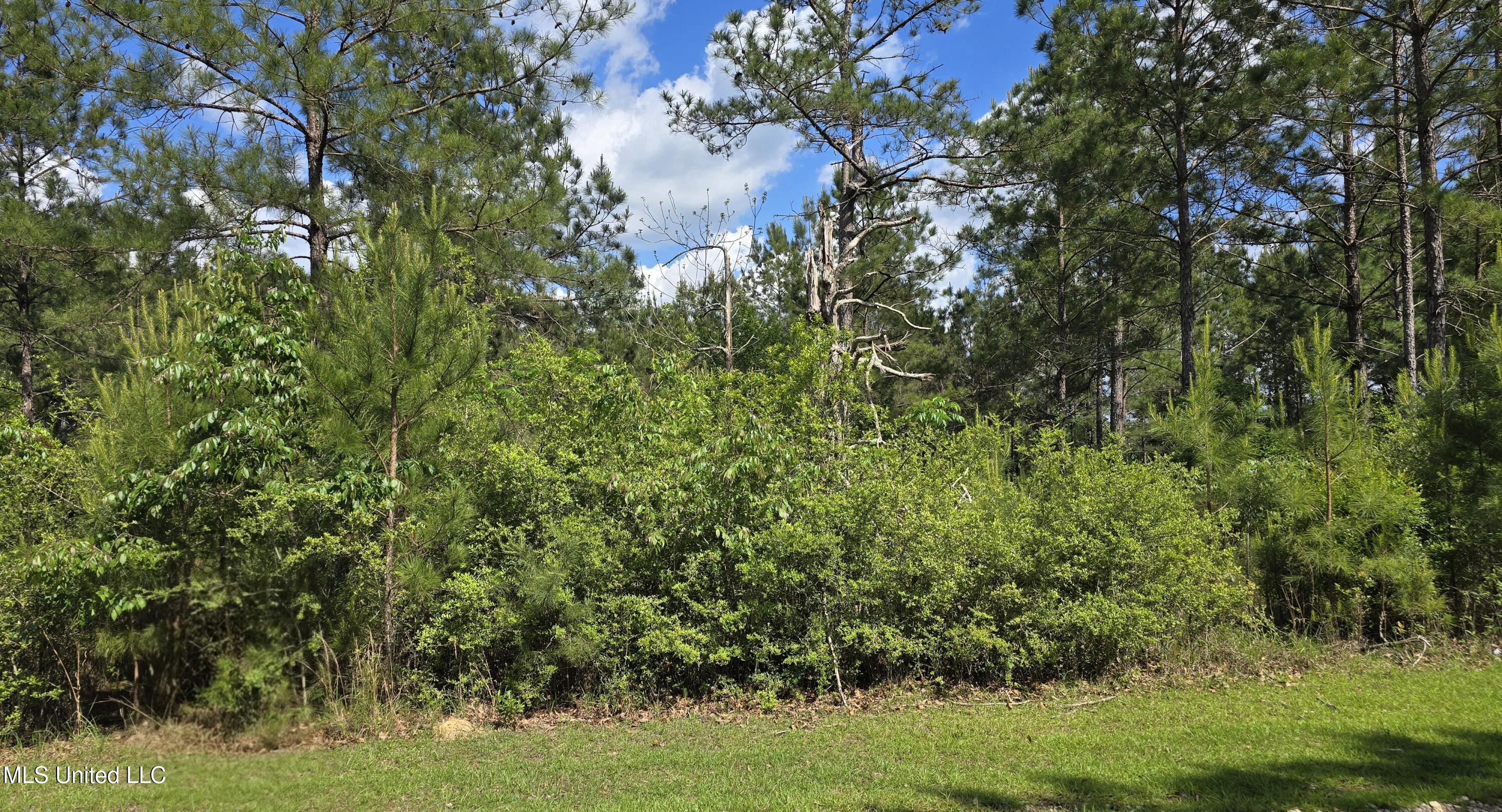 Mellie Lane Property Photo 2