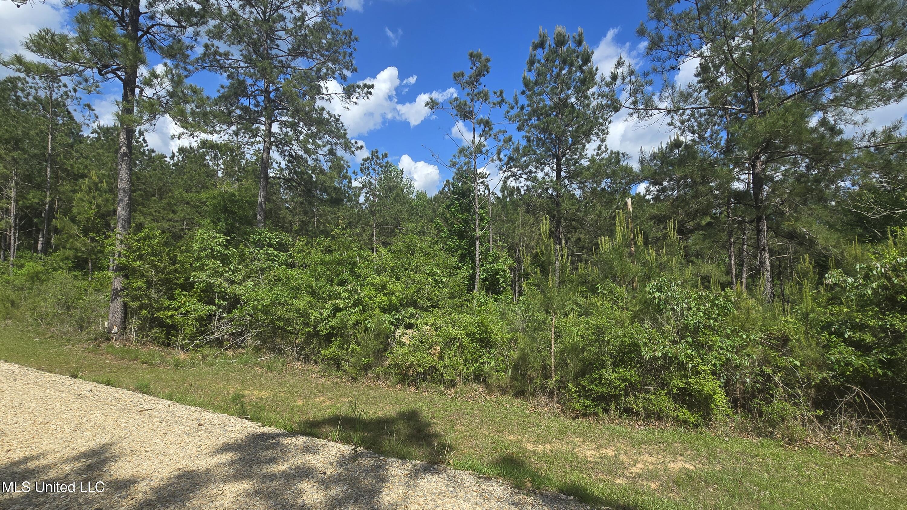 Mellie Lane Property Photo 3