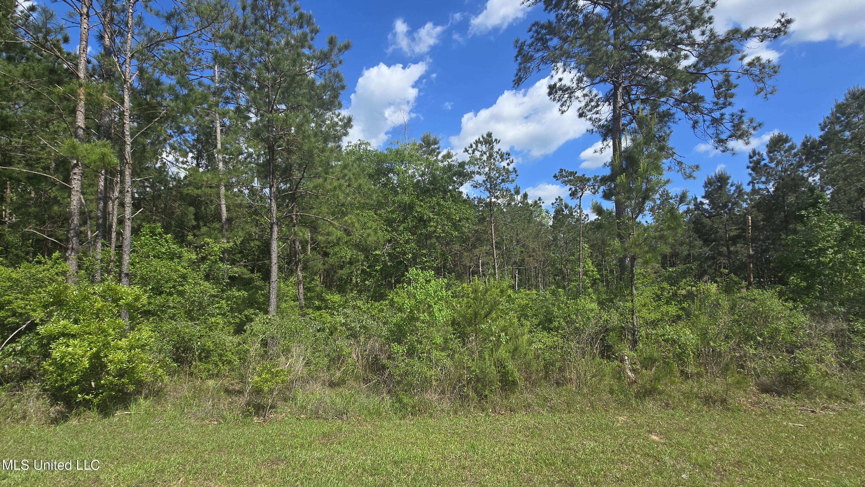 Mellie Lane Property Photo 4