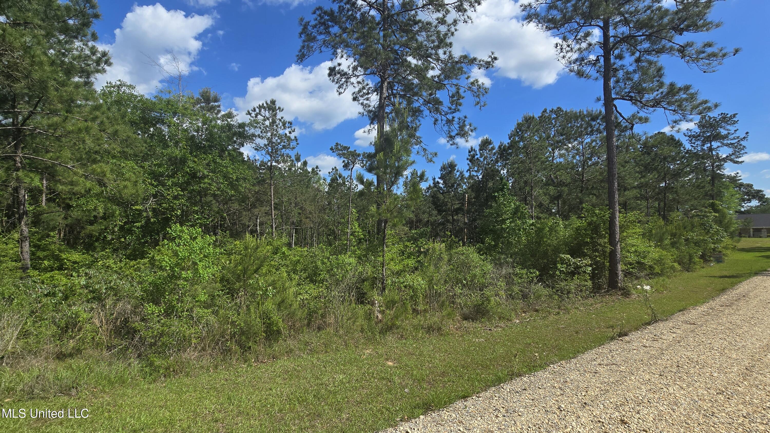 Mellie Lane Property Photo 5