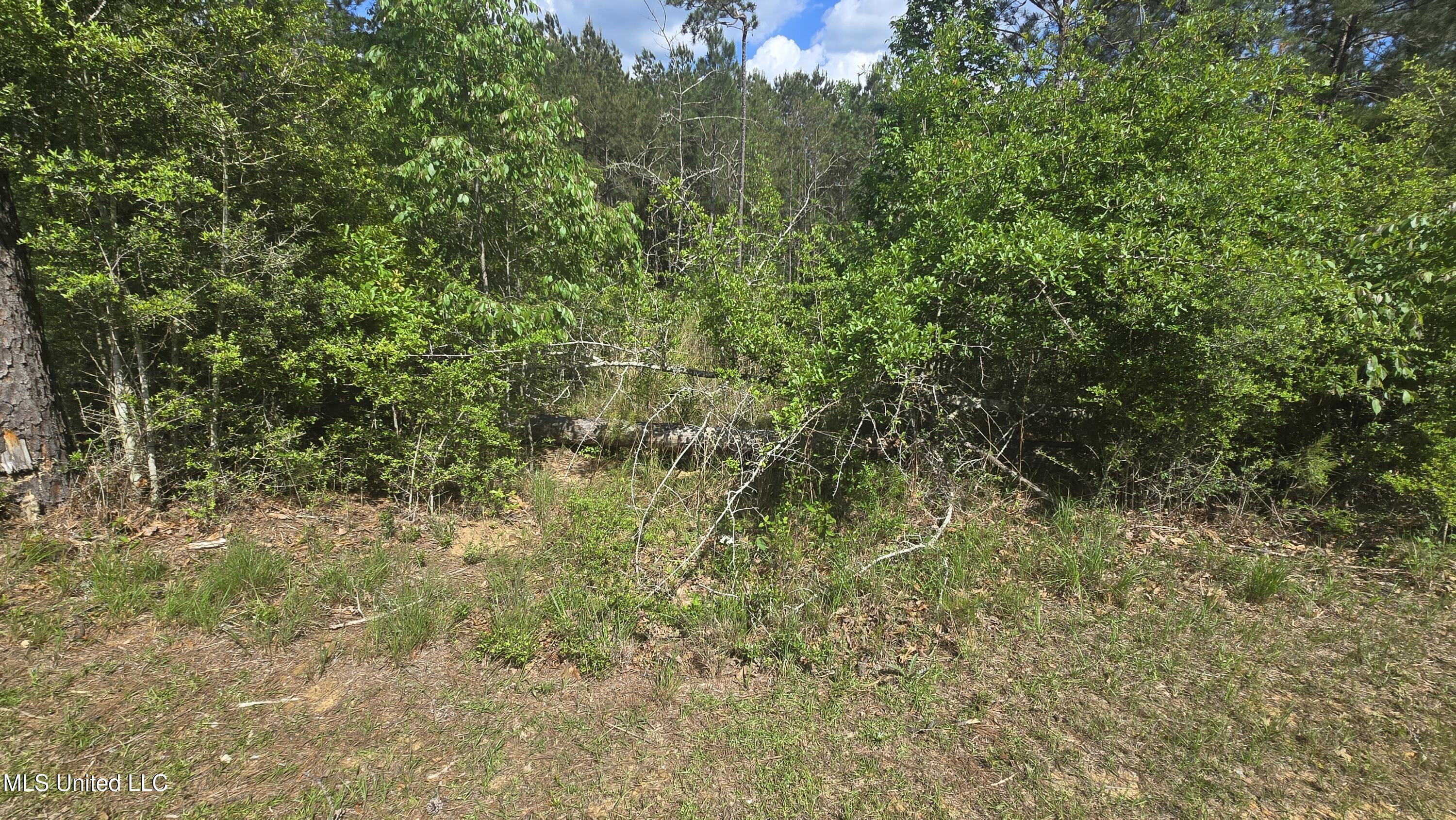 Mellie Lane Property Photo 6