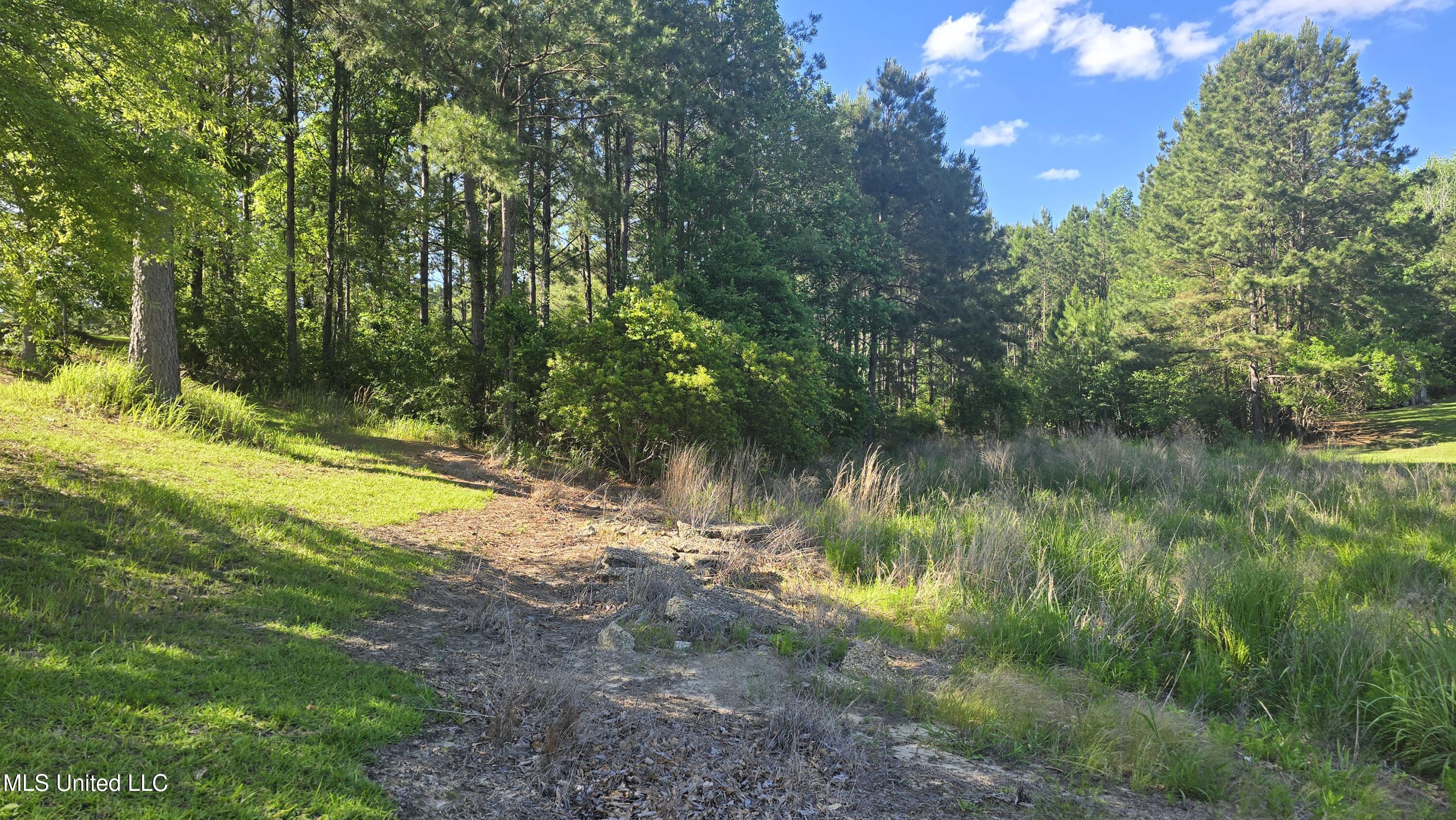 Mellie Lane Property Photo 8