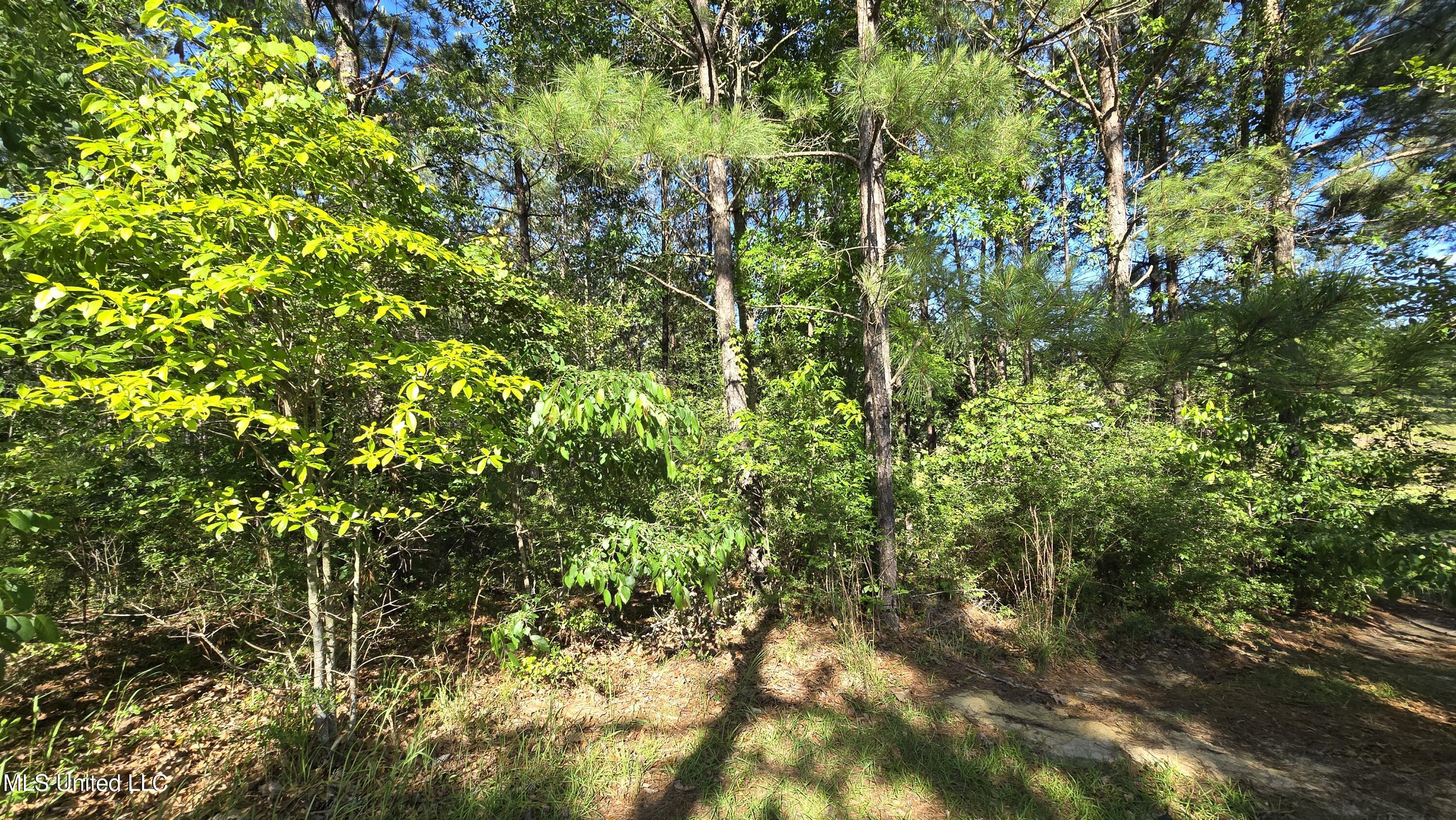 Mellie Lane Property Photo 10