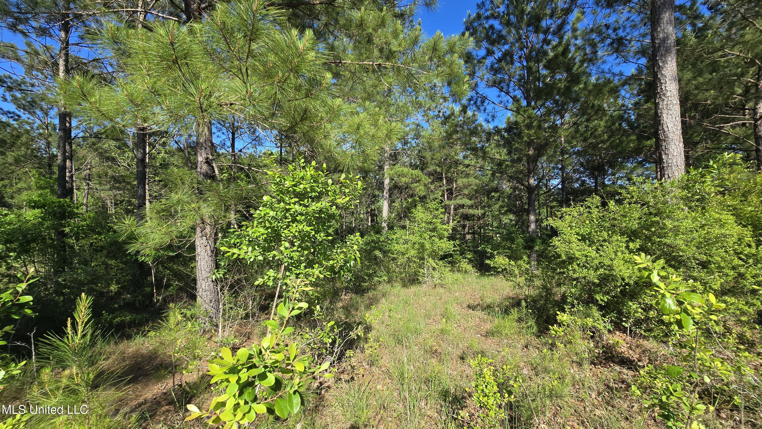 Mellie Lane Property Photo 13