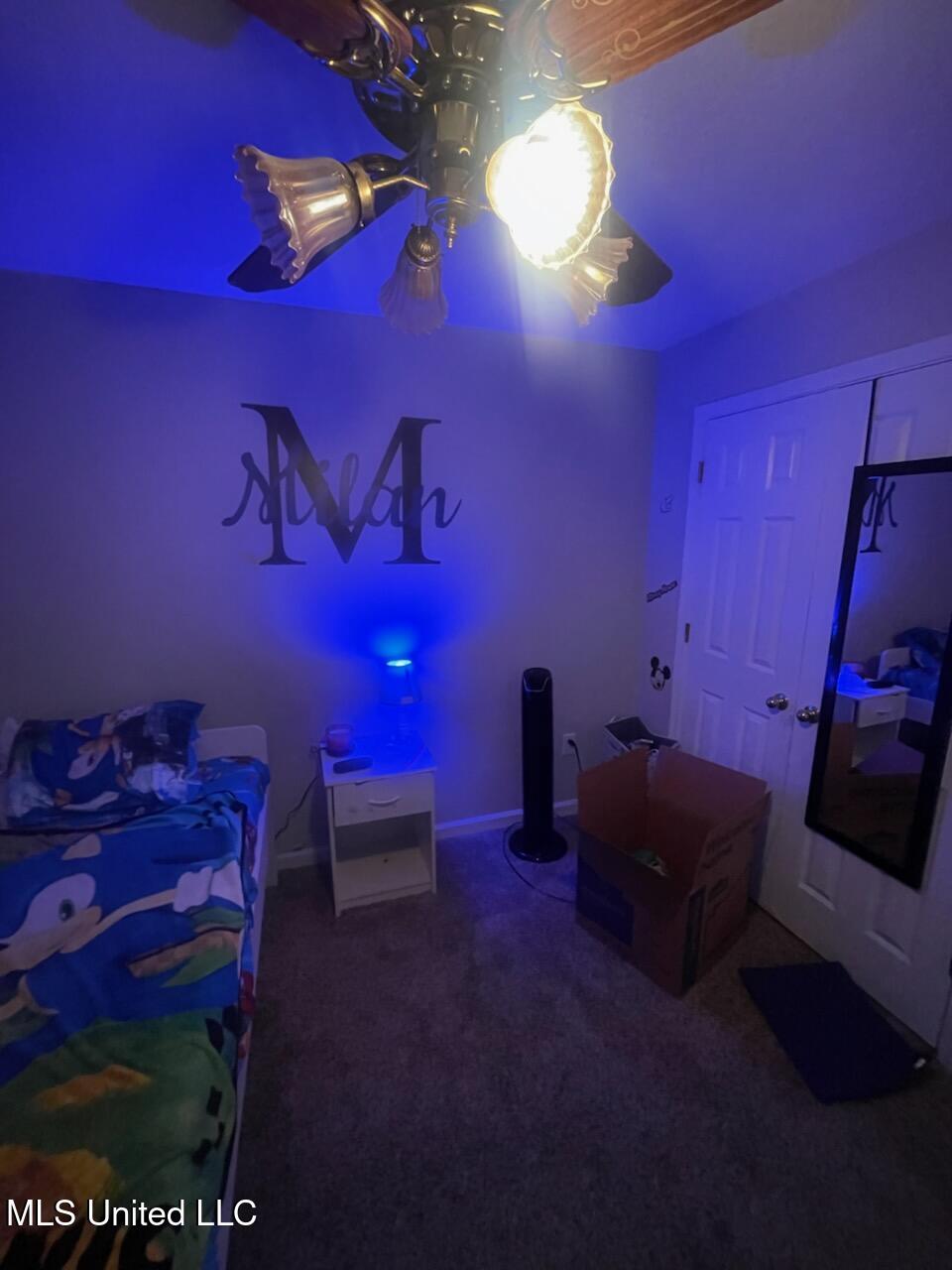 1111 W Meadow Lake Circle Property Photo 15