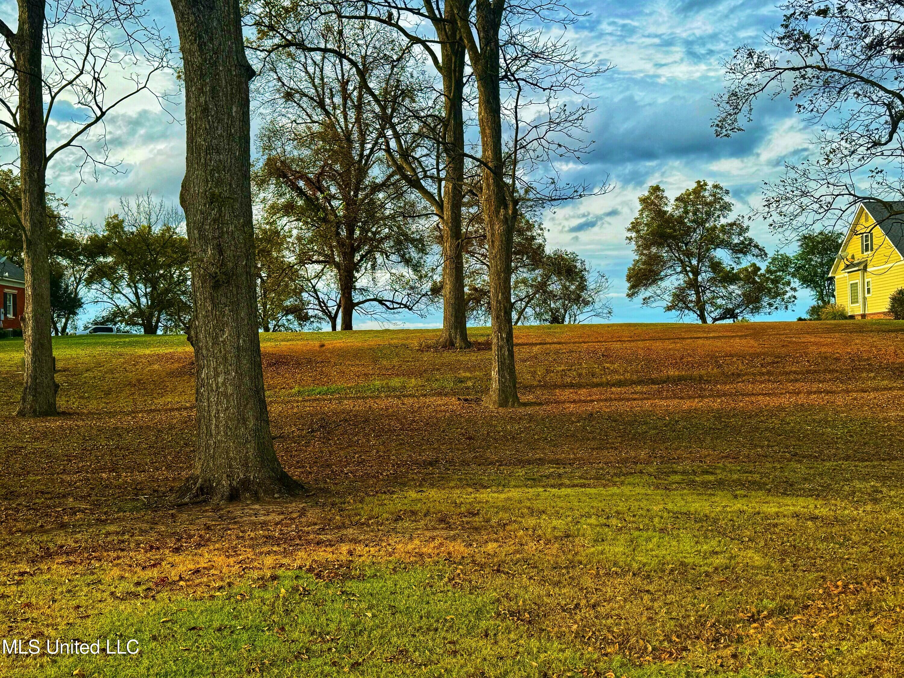 7 Yazoo Pass Drive Property Photo 2