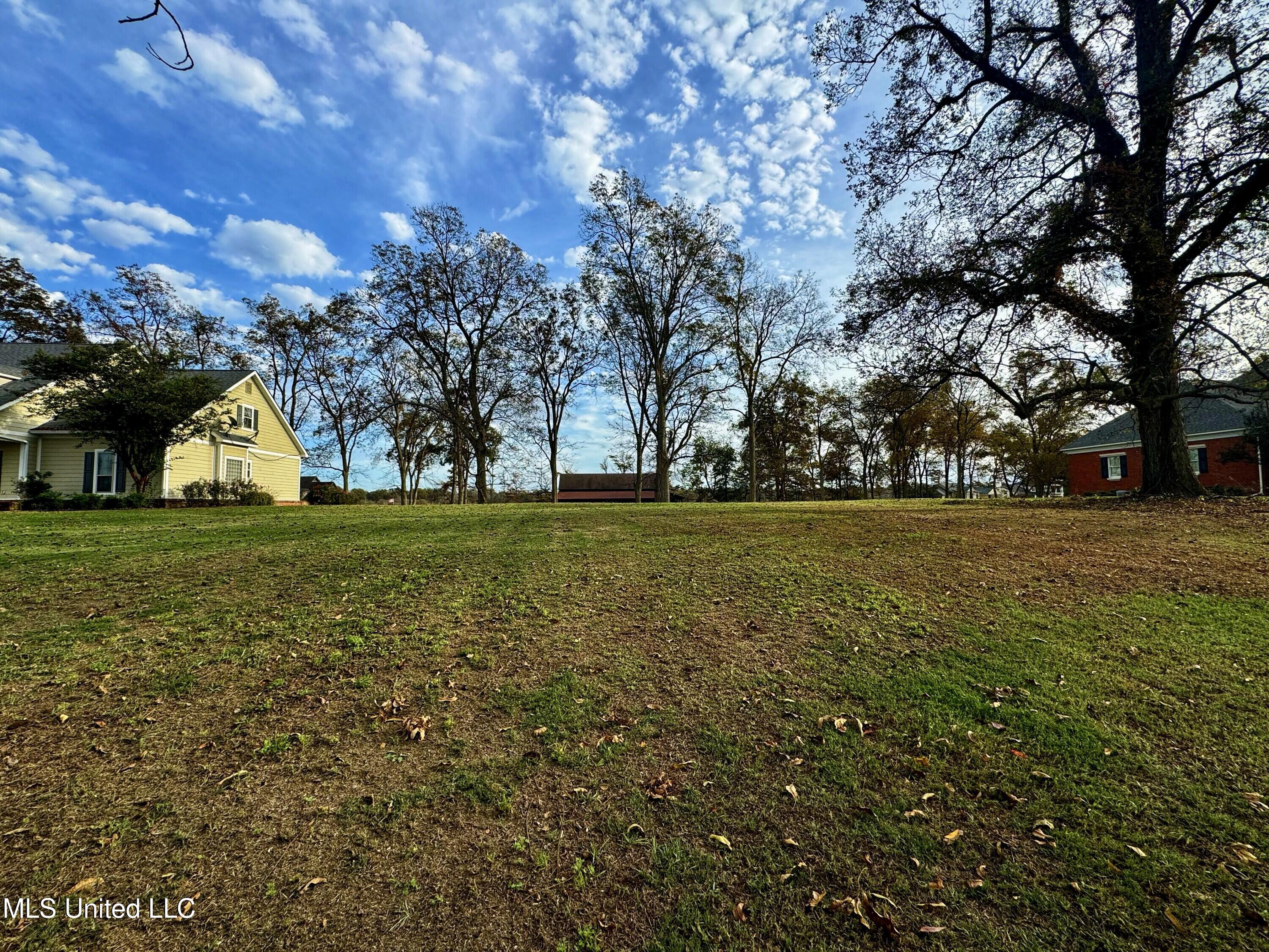 7 Yazoo Pass Drive Property Photo 13
