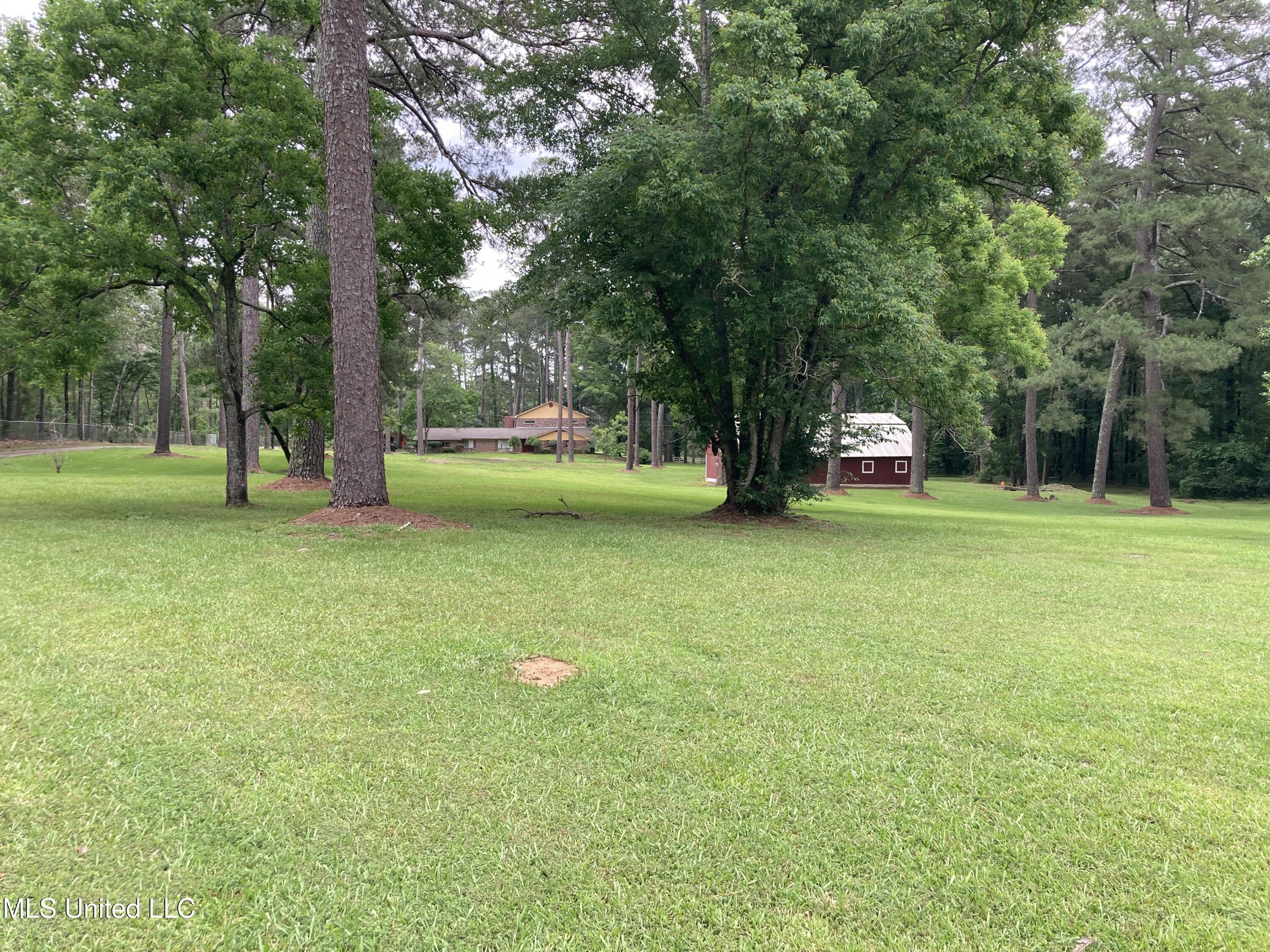 3830 Forest Hill Road Property Photo 10