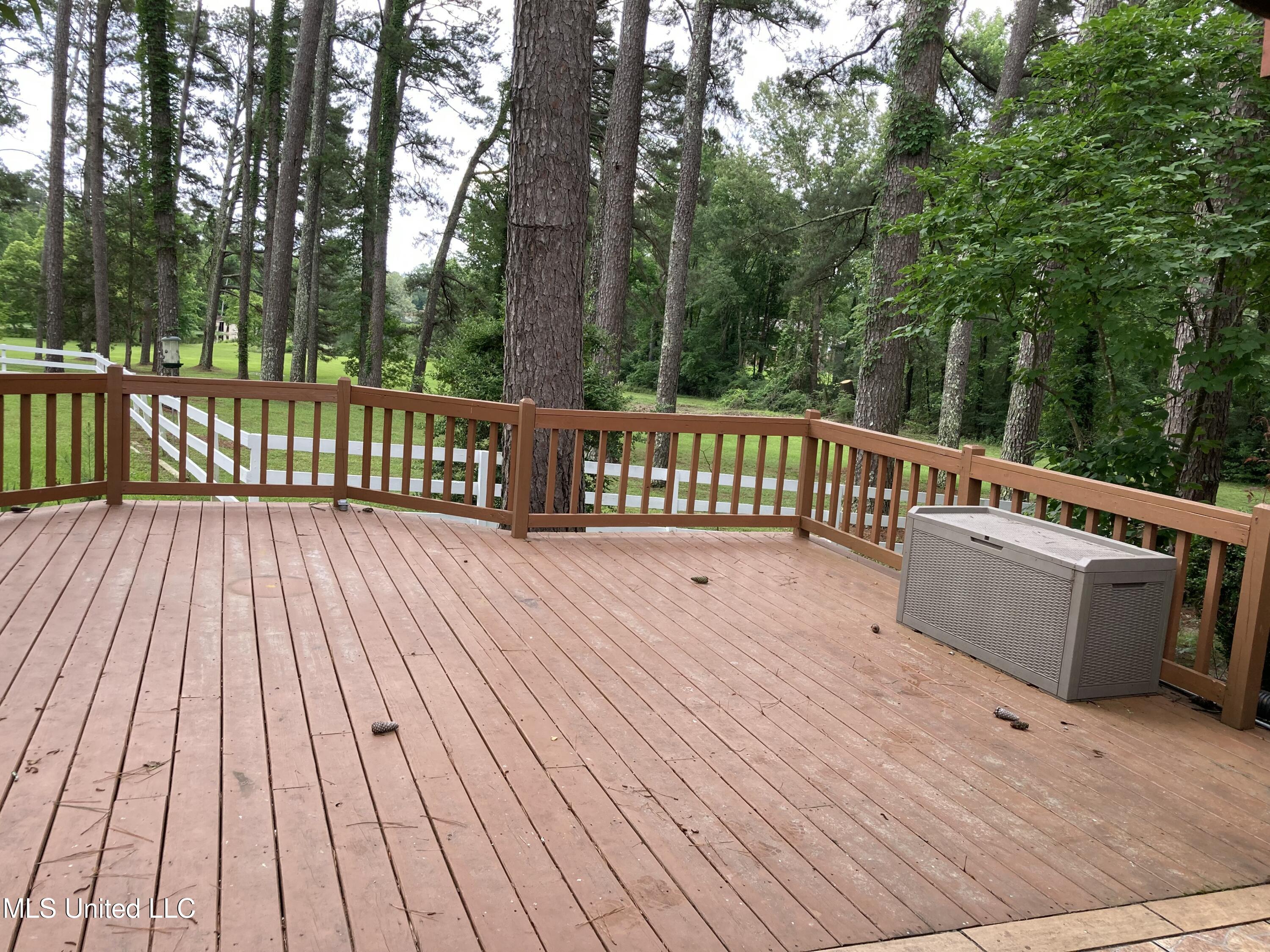 3830 Forest Hill Road Property Photo 14