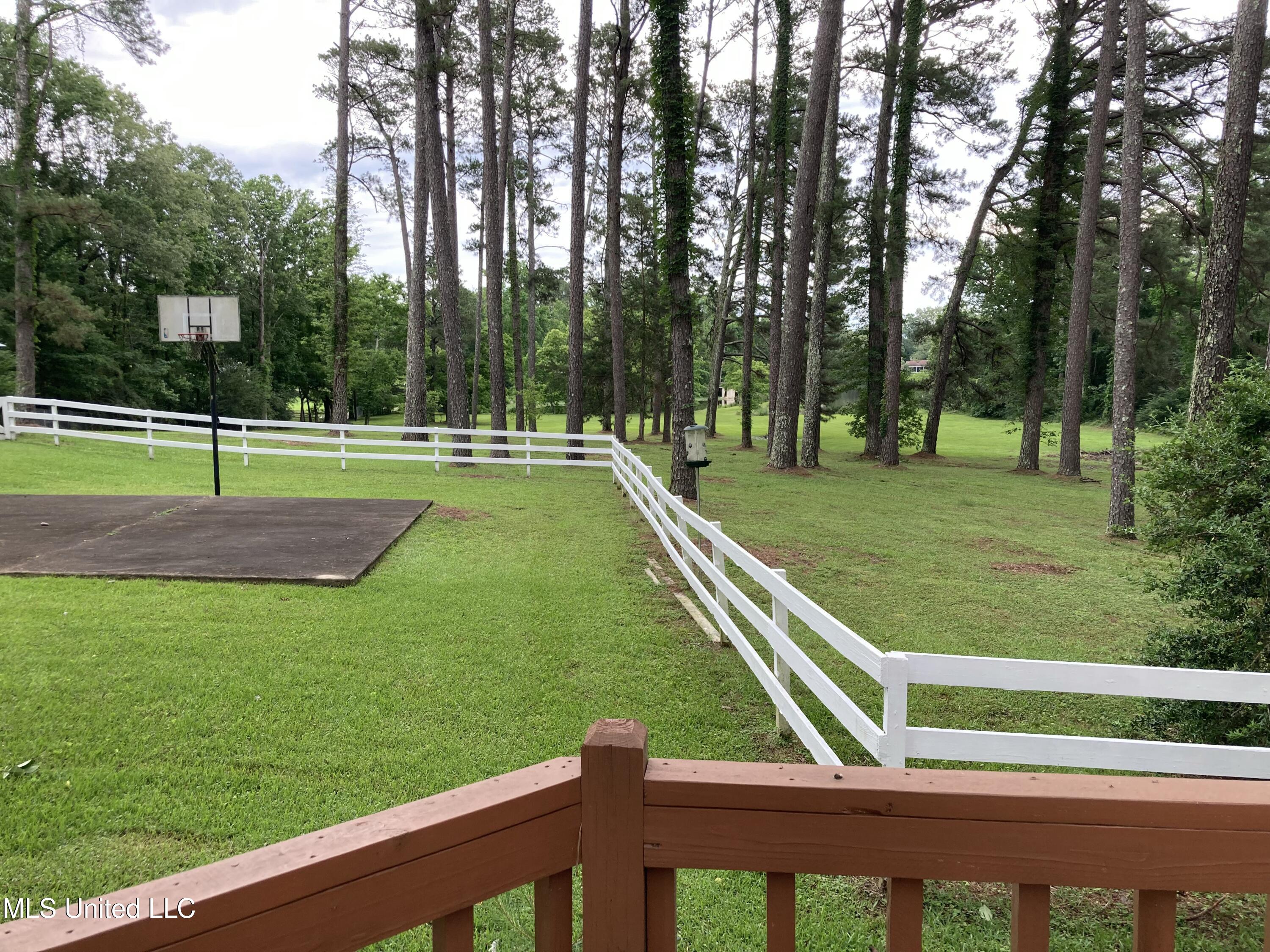 3830 Forest Hill Road Property Photo 15