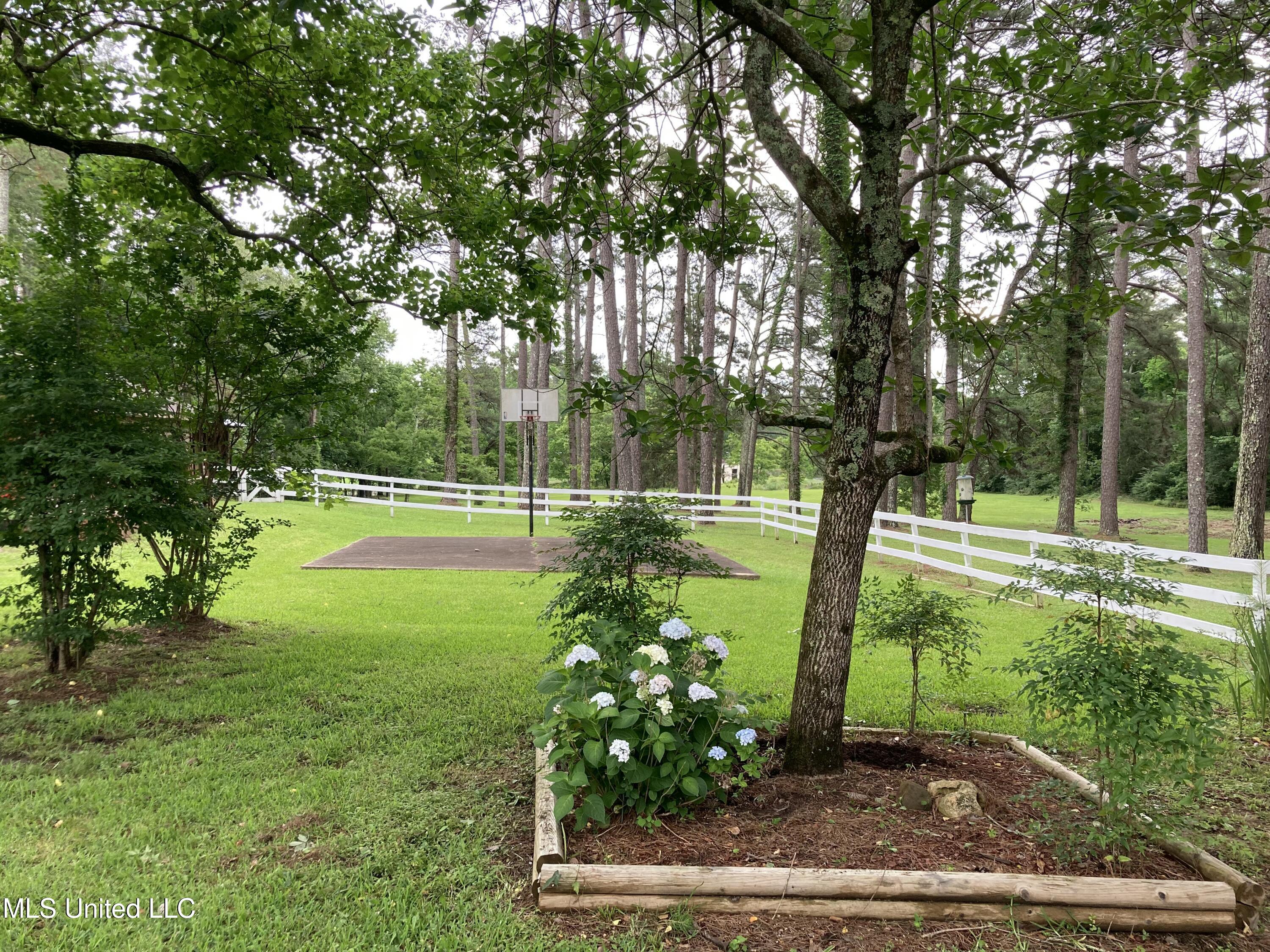 3830 Forest Hill Road Property Photo 16