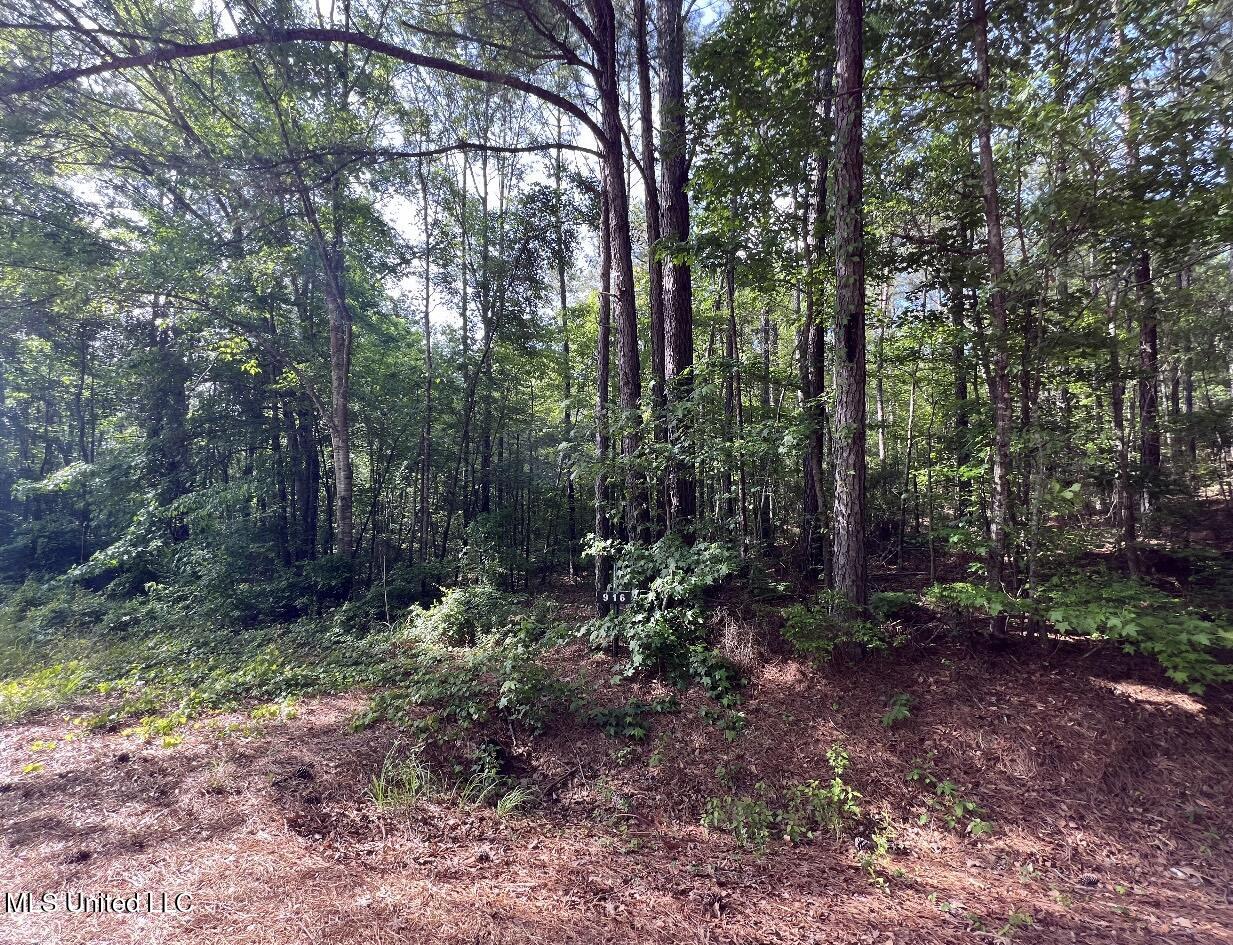 916 Virgin Mary Road Property Photo 1