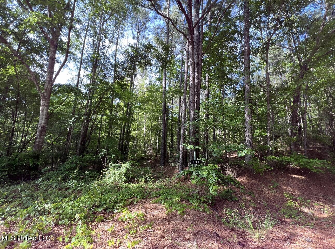 916 Virgin Mary Road Property Photo 3