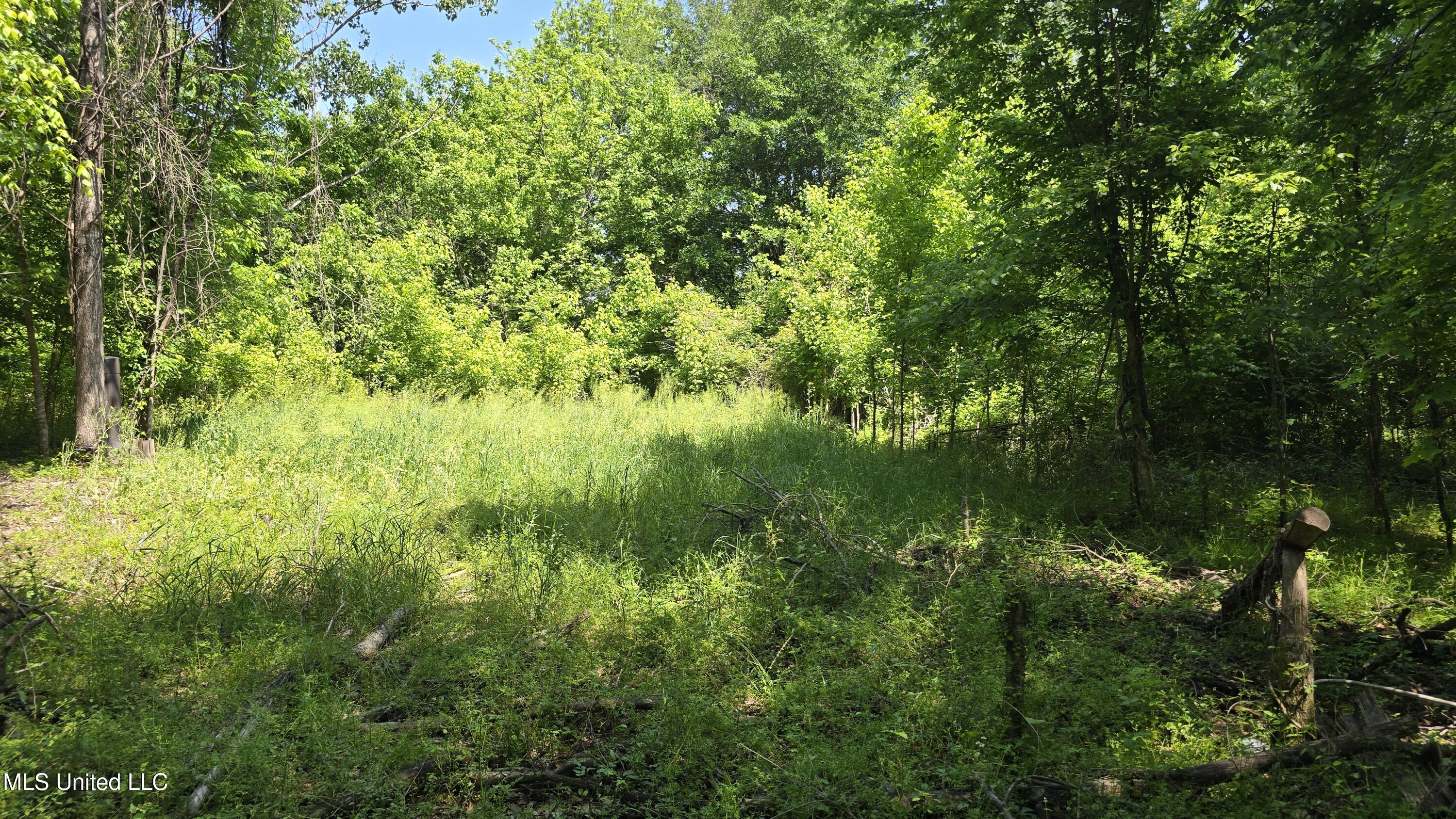 Malvina Road Property Photo 17