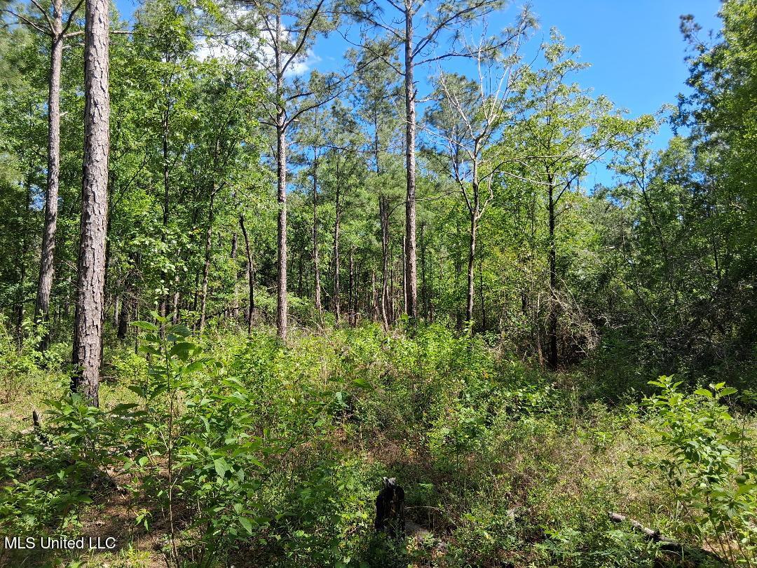 0 Ben Pierce Property Photo 1