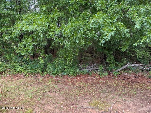 000 W Norwood/old Enoch Road Property Photo 1