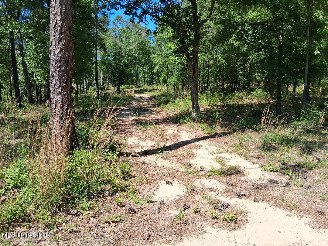 0 Ben Pierce Property Photo 2