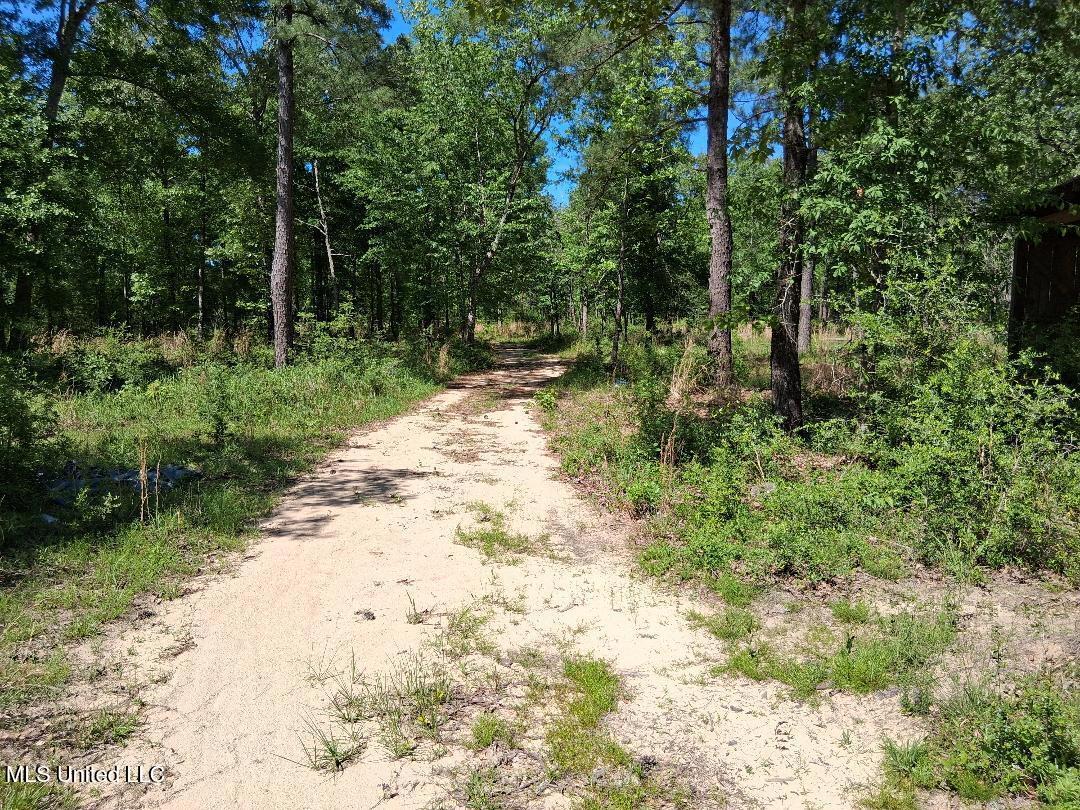0 Ben Pierce Property Photo 3