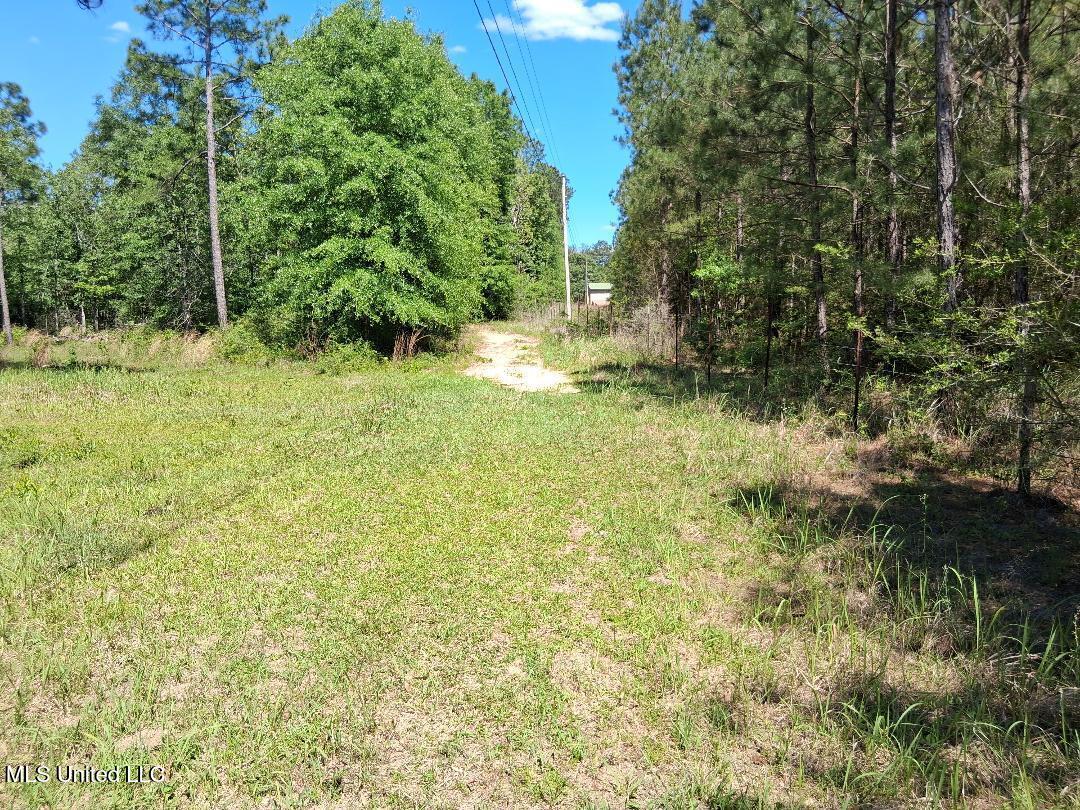 0 Ben Pierce Property Photo 4