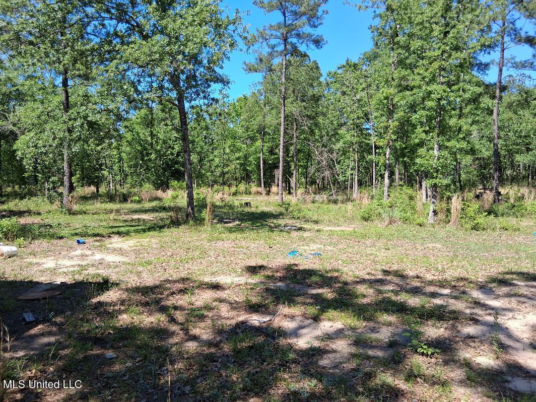 0 Ben Pierce Property Photo 6