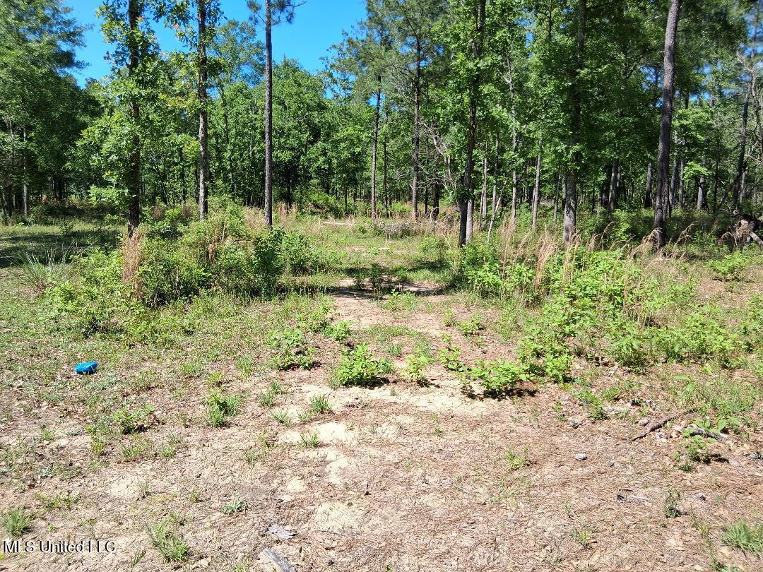 0 Ben Pierce Property Photo 7