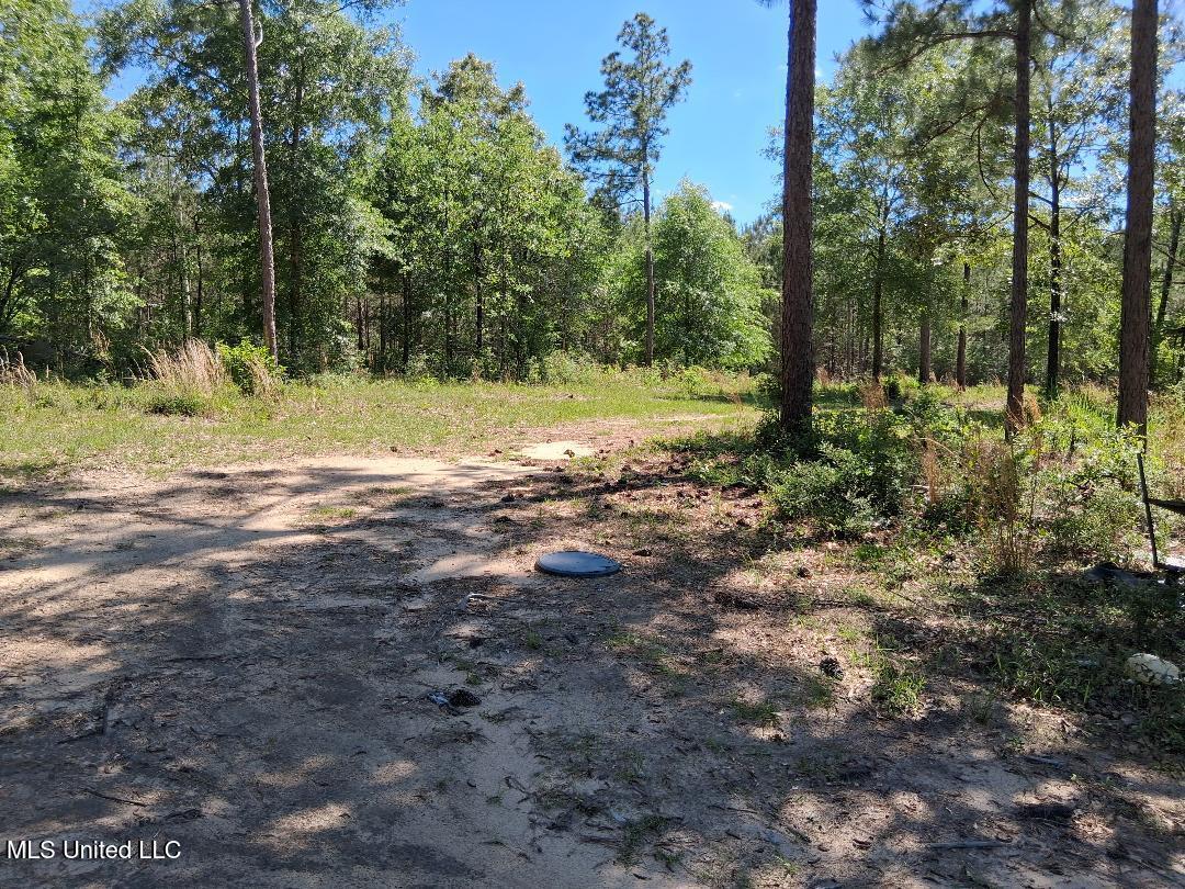 0 Ben Pierce Property Photo 9