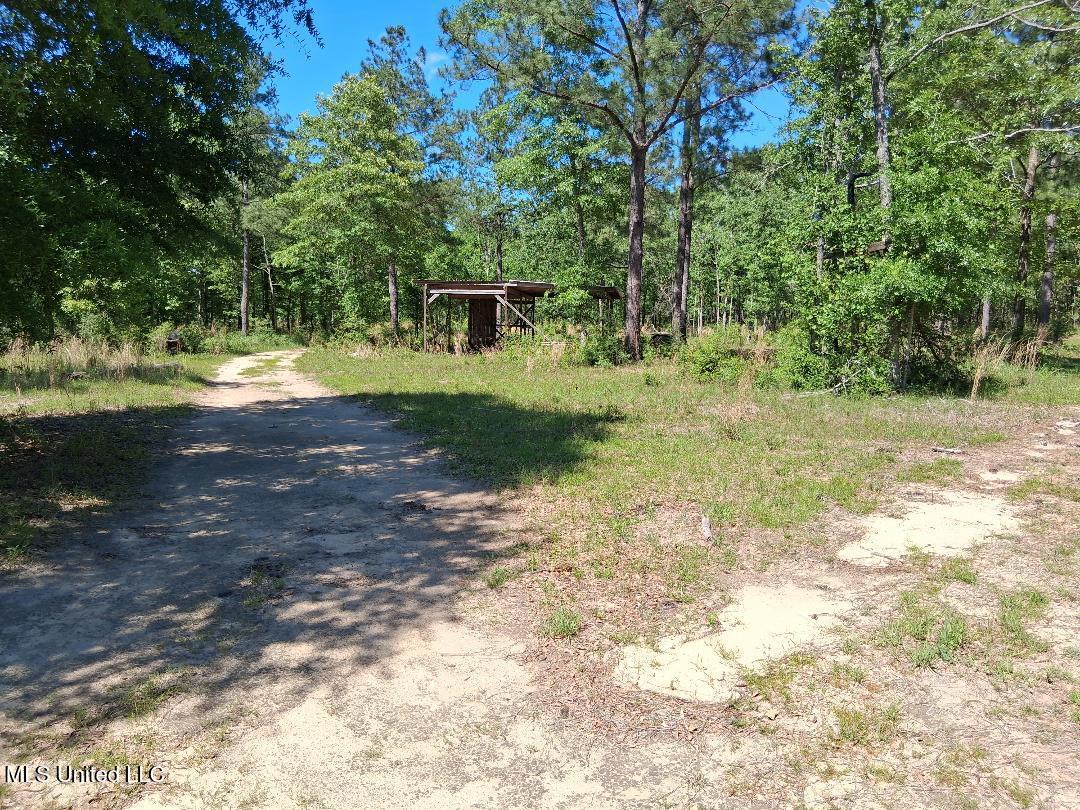 0 Ben Pierce Property Photo 10