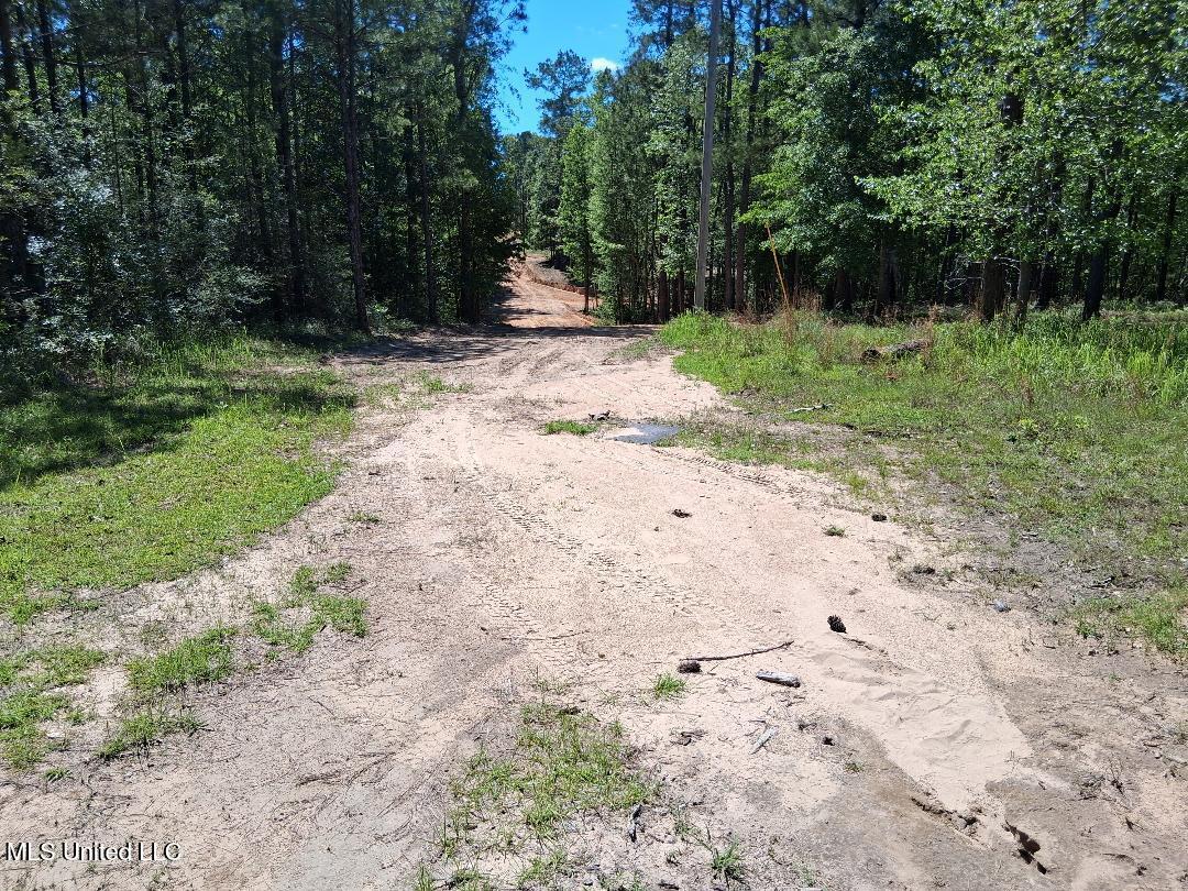 0 Ben Pierce Property Photo 11