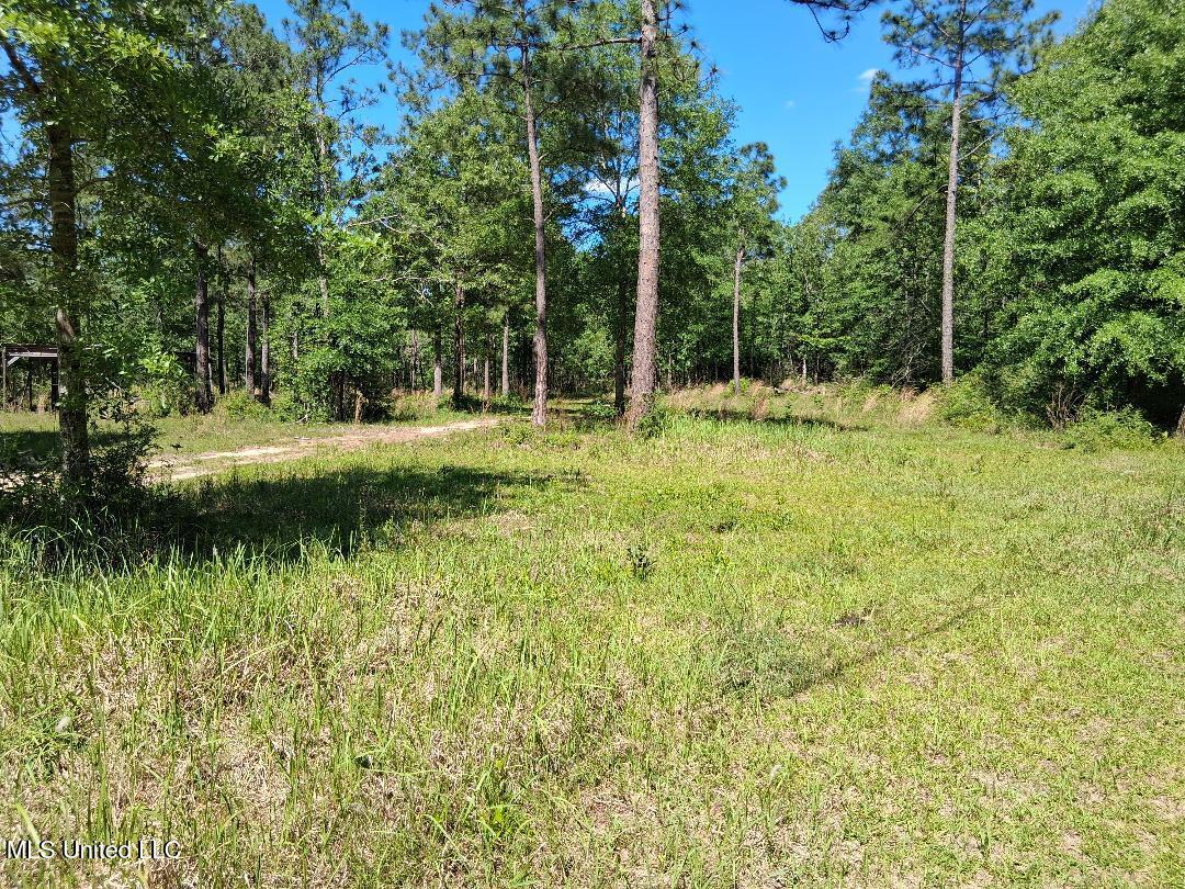 0 Ben Pierce Property Photo 12