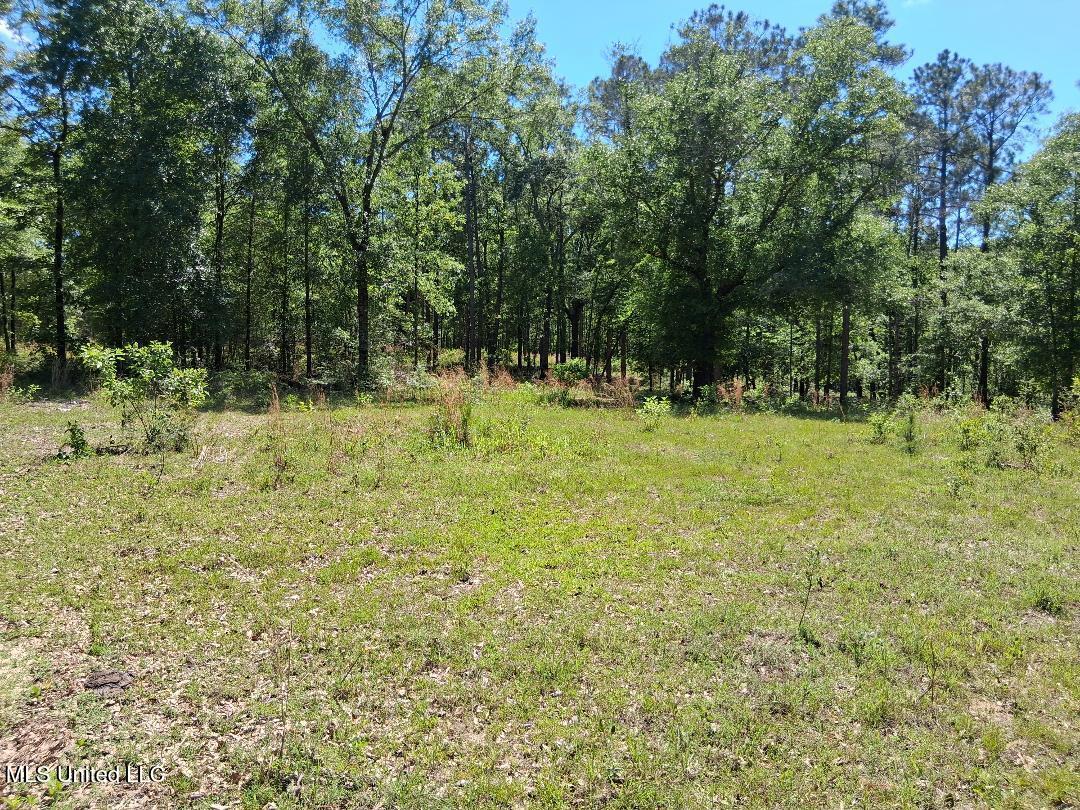 0 Ben Pierce Property Photo 14