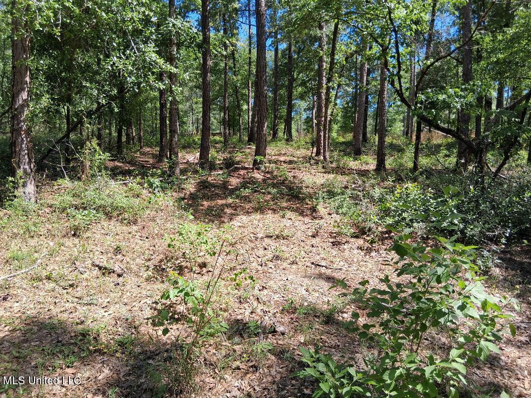 0 Ben Pierce Property Photo 15