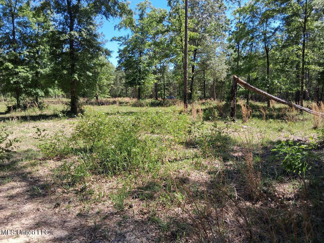 0 Ben Pierce Property Photo 16