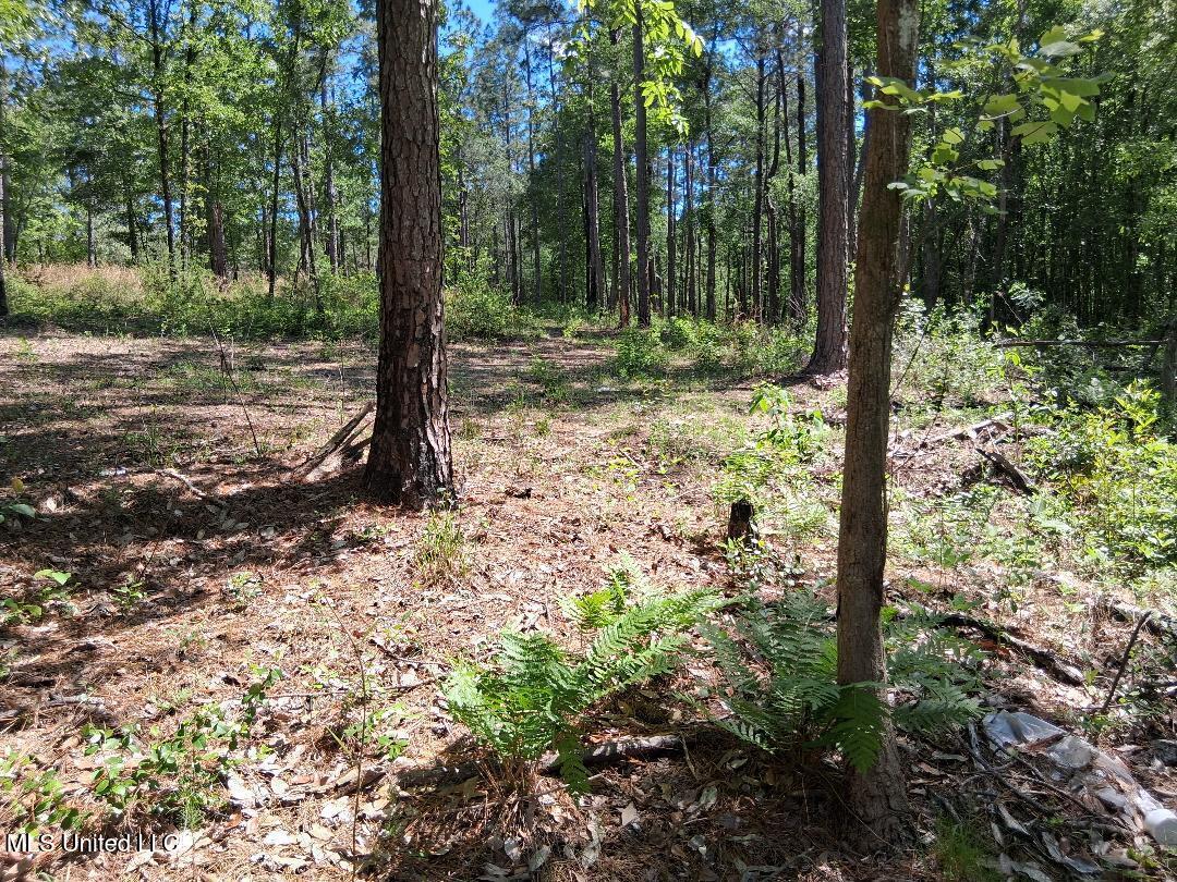 0 Ben Pierce Property Photo 18