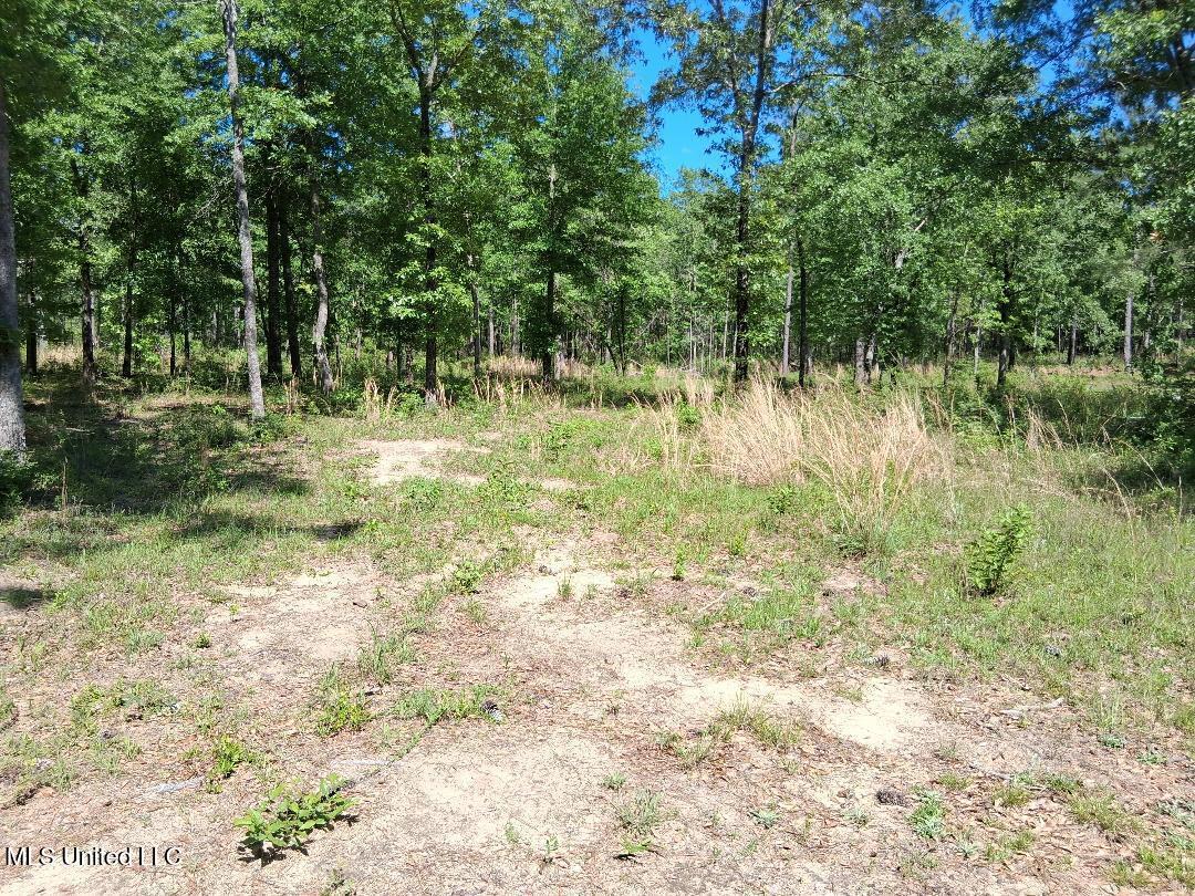 0 Ben Pierce Property Photo 19