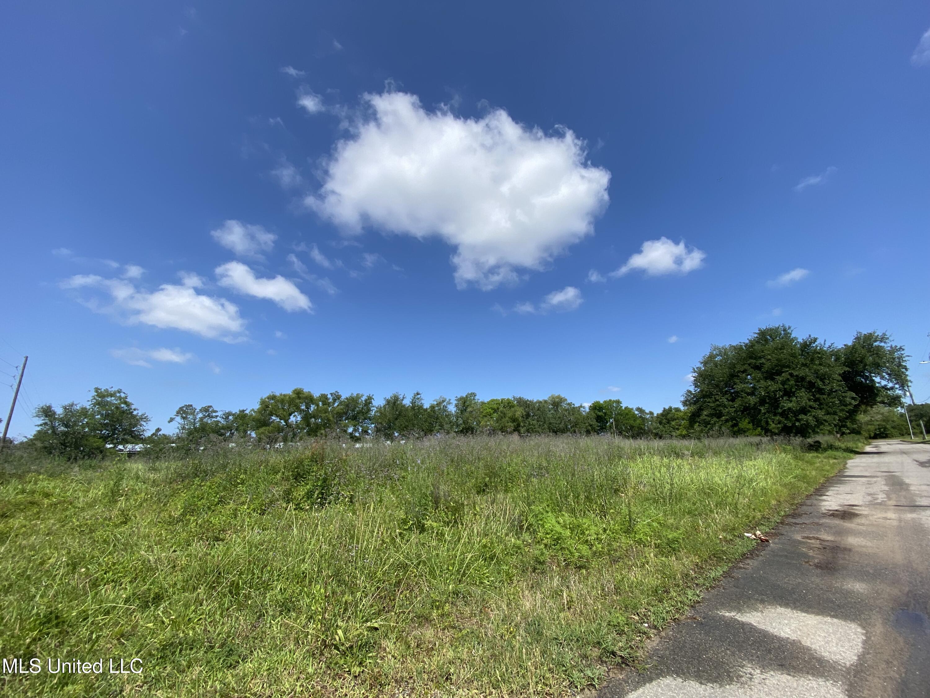 Davis Avenue Property Photo 3