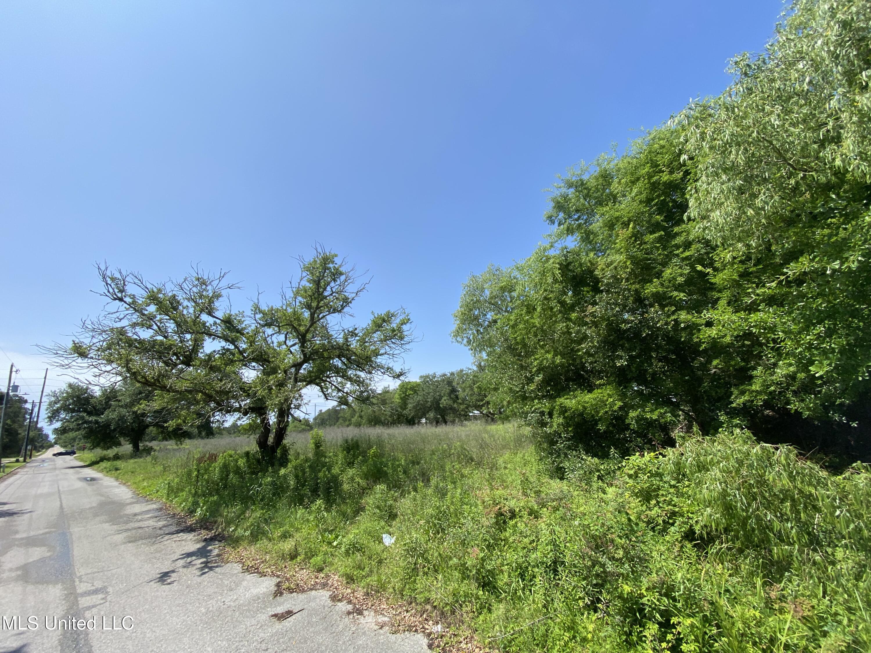 Davis Avenue Property Photo 5