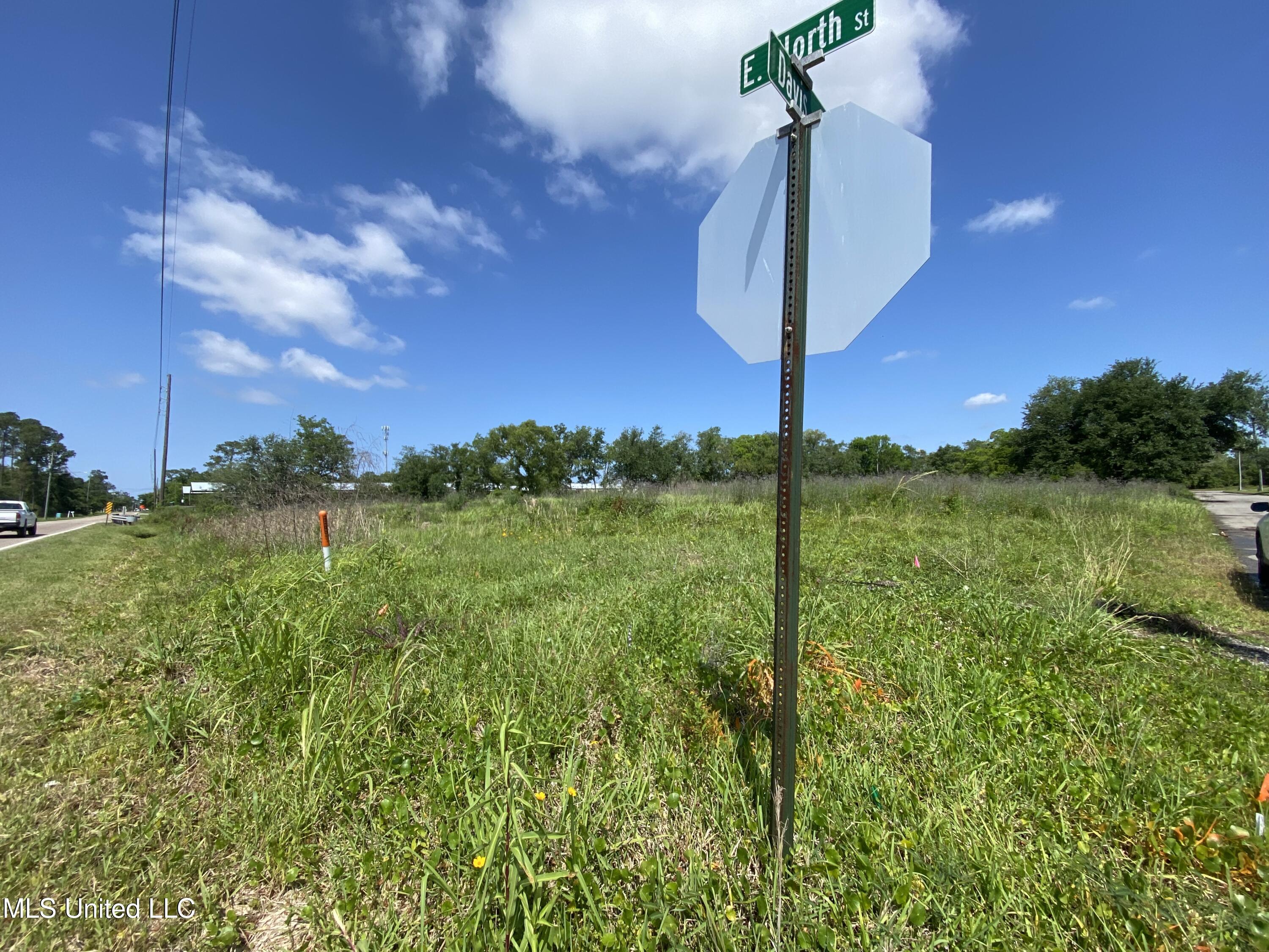 Davis Avenue Property Photo 6