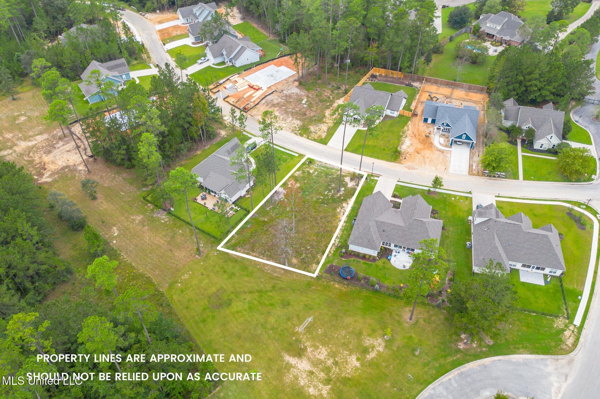Lot 98 S Founders Way Property Photo 4