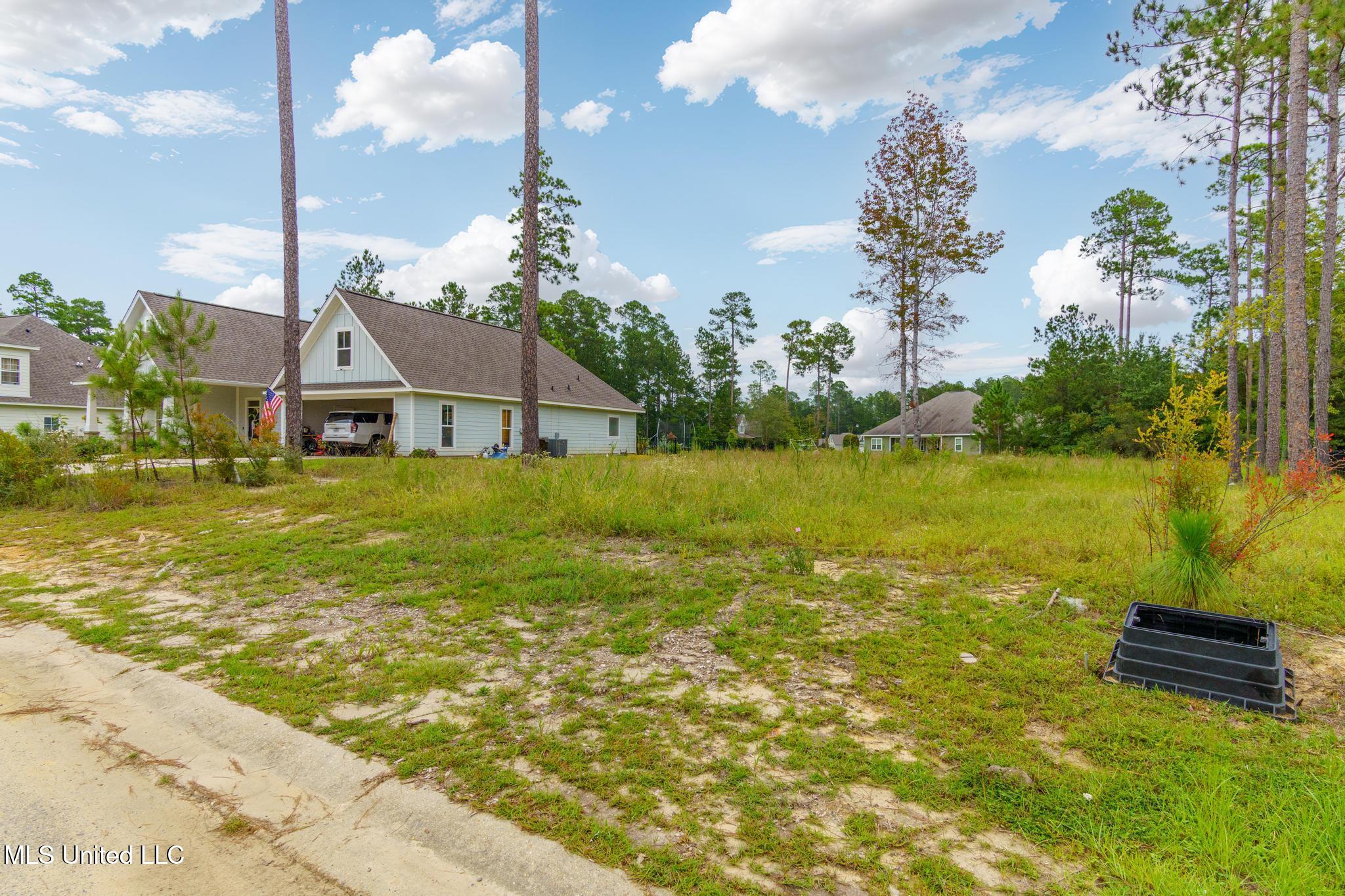 Lot 98 S Founders Way Property Photo 6