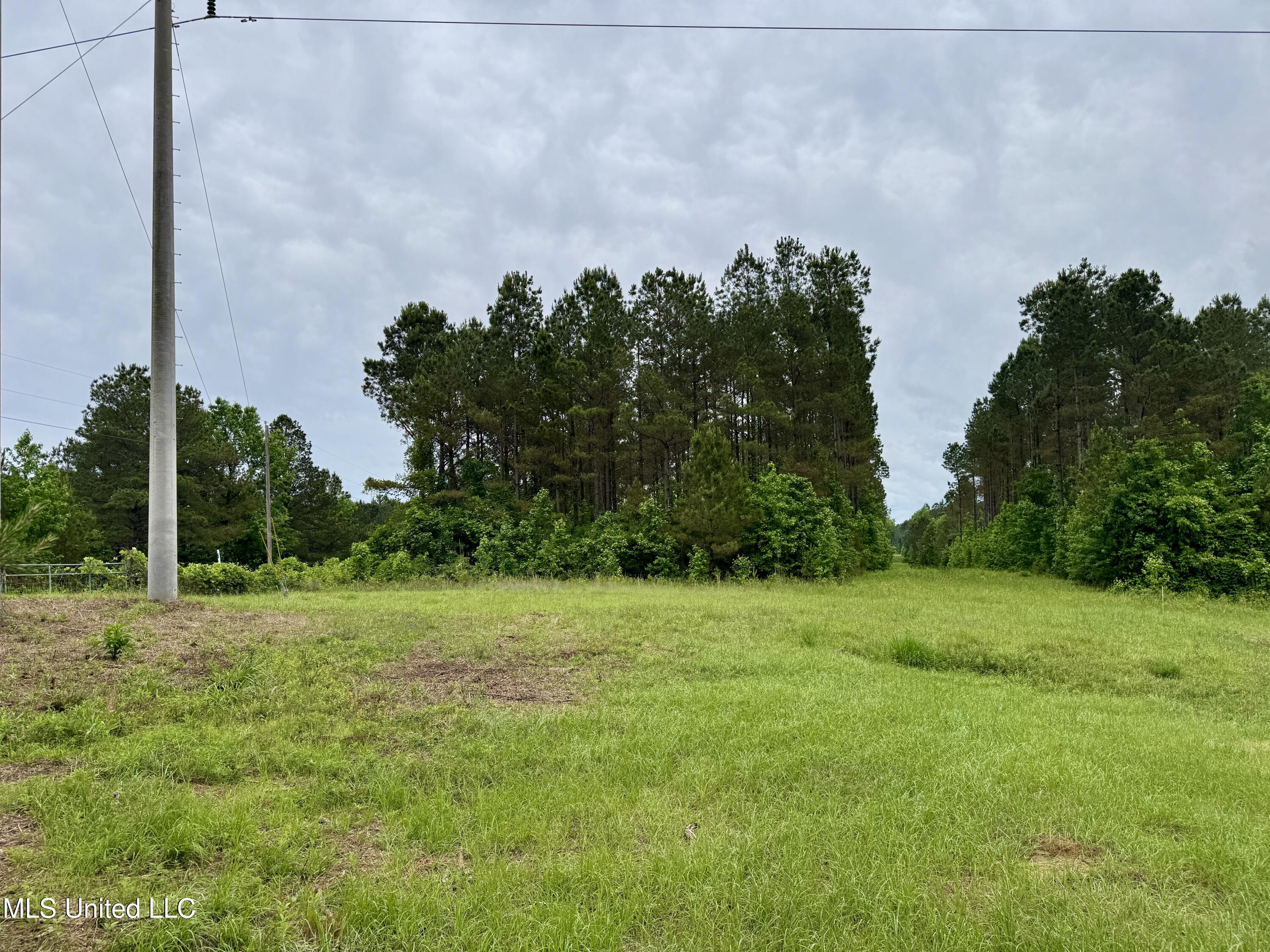 0000 Mount Carmel Road Property Photo 7