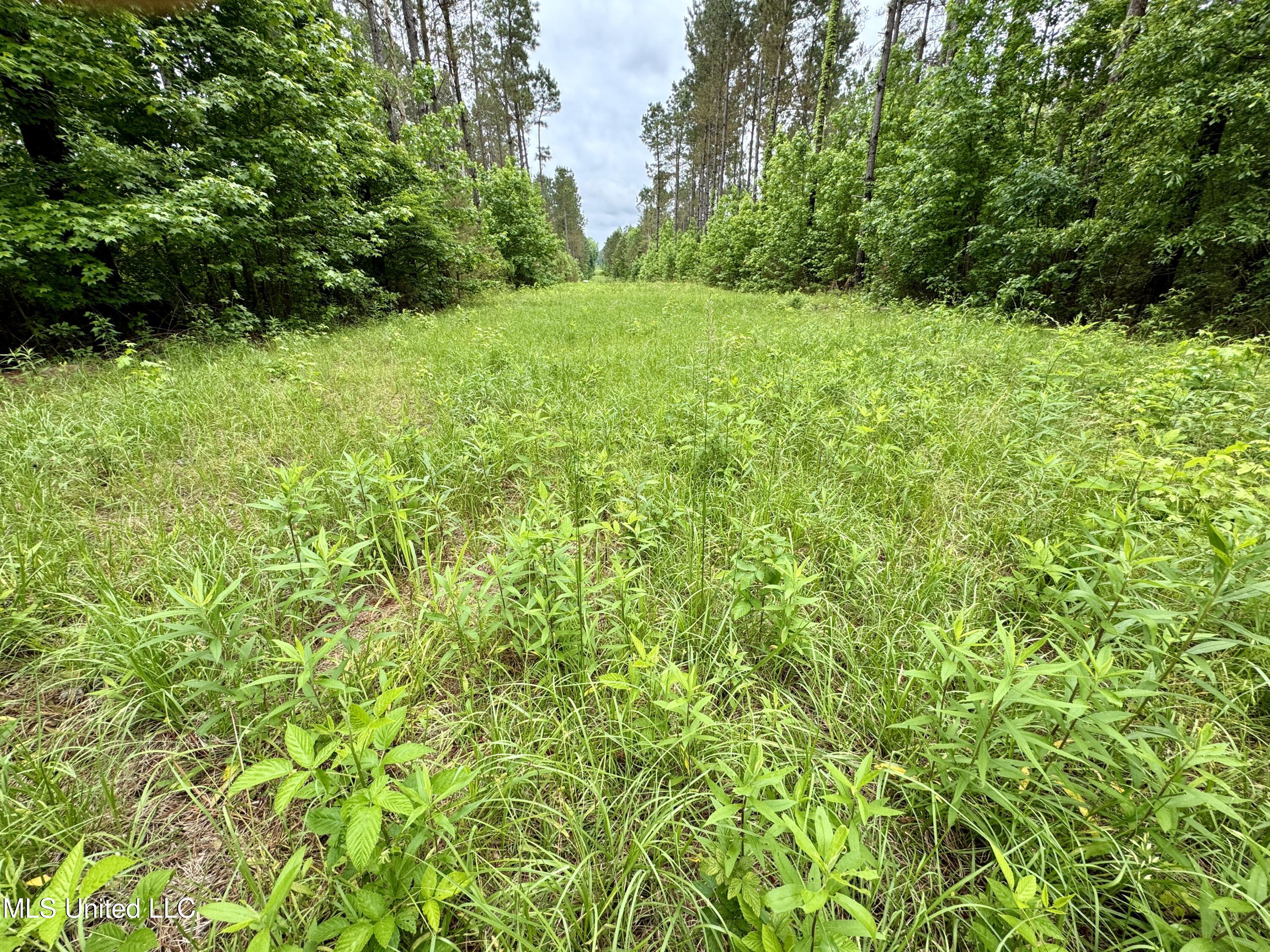 0000 Mount Carmel Road Property Photo 10