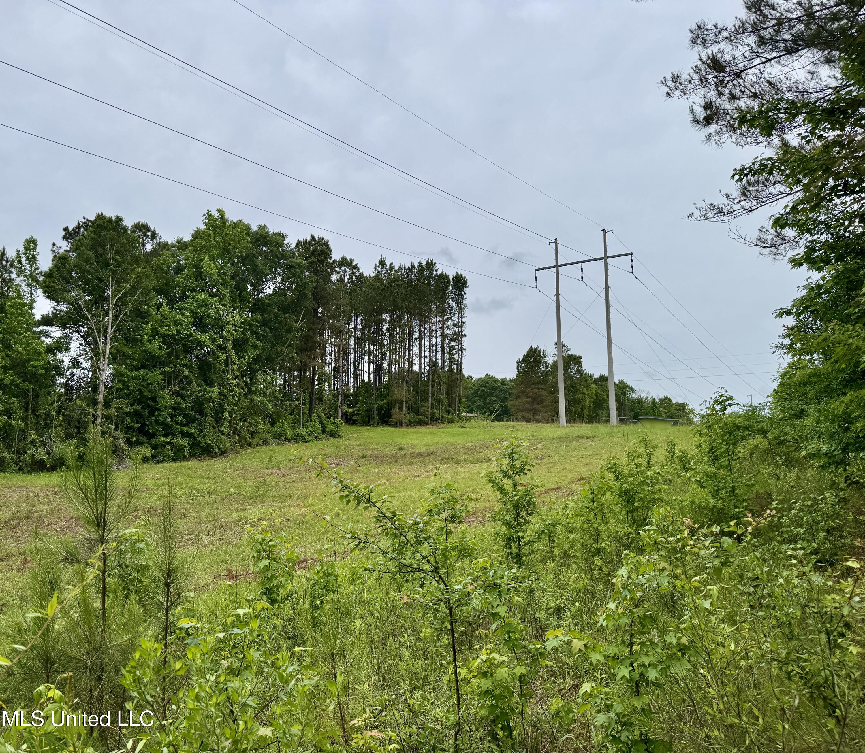 0000 Mount Carmel Road Property Photo 26
